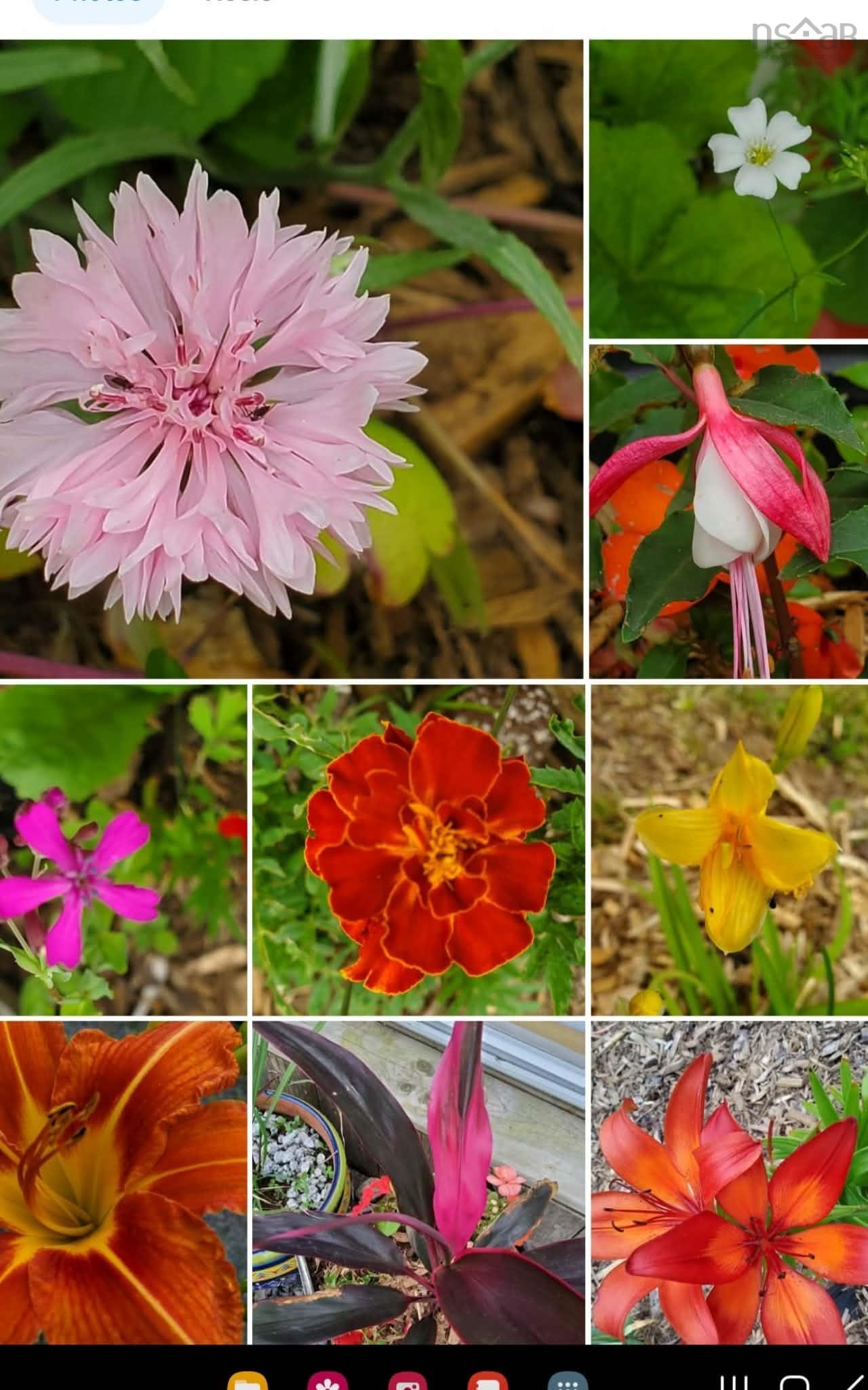 $385,000.00: 997 East River East Side Road, Glencoe