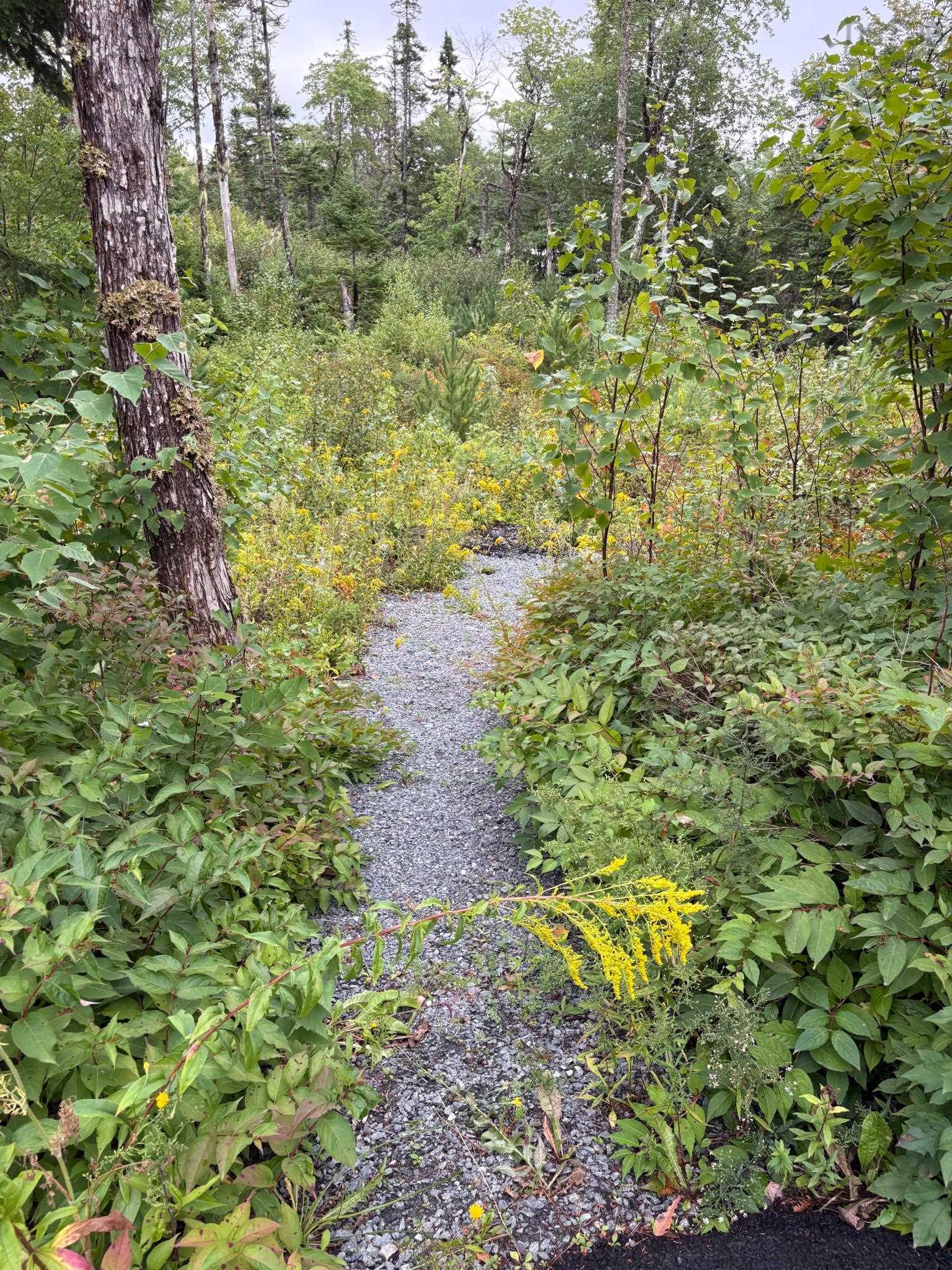 $529,000.00: 38 274 HERITAGE Way, Hants