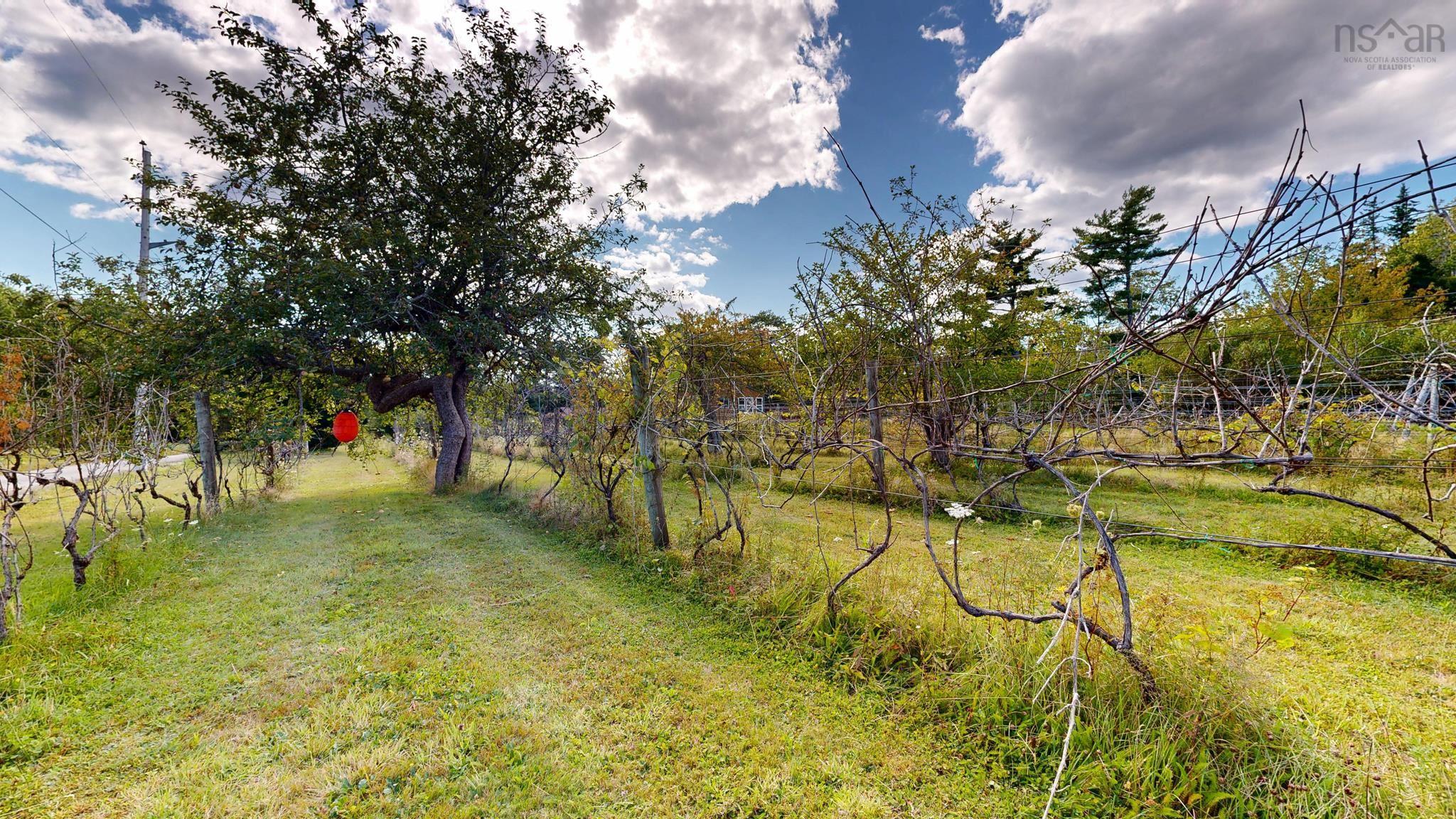 $449,000.00: 1214 Old Port Mouton Road, White Point