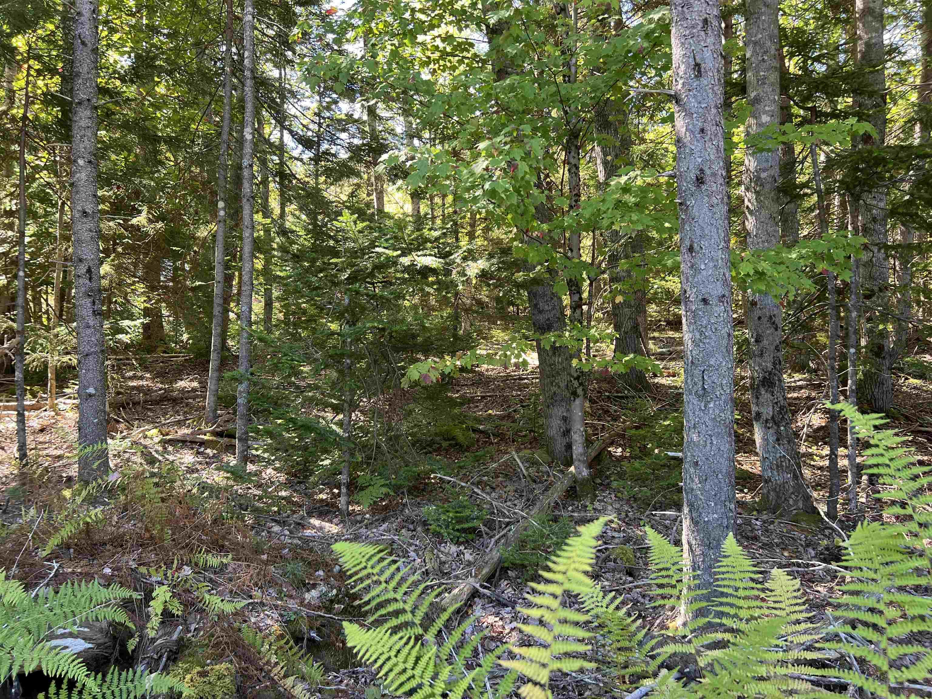 $39,000.00: Conquerall Rd, Conquerall Bank