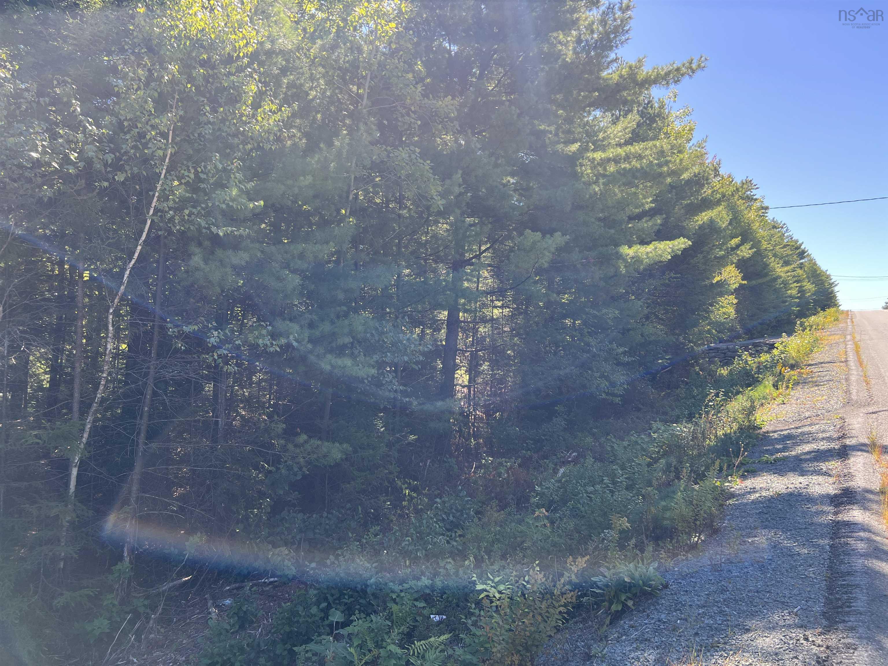 $39,000.00: Conquerall Rd, Conquerall Bank