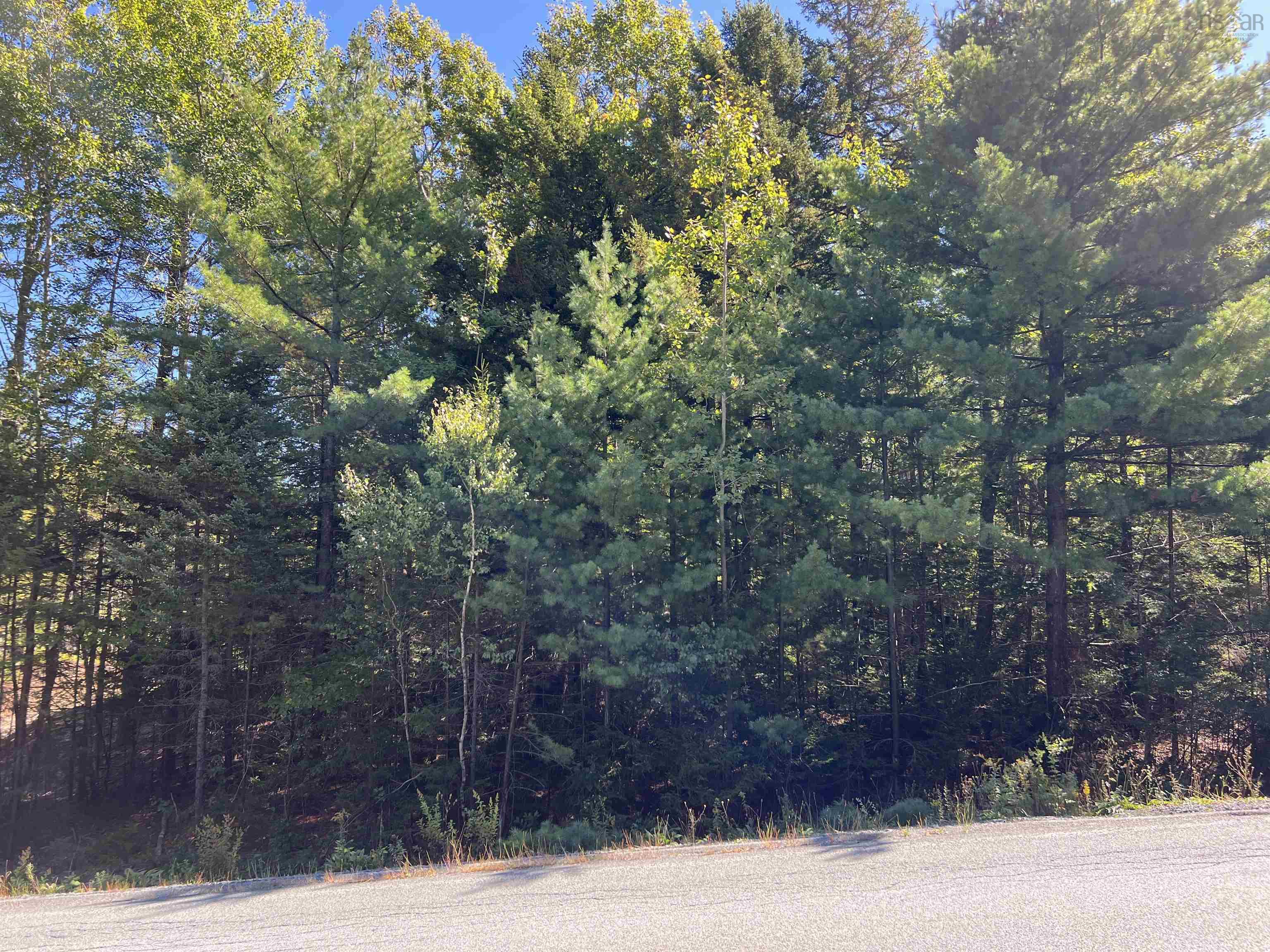 $39,000.00: Conquerall Rd, Conquerall Bank