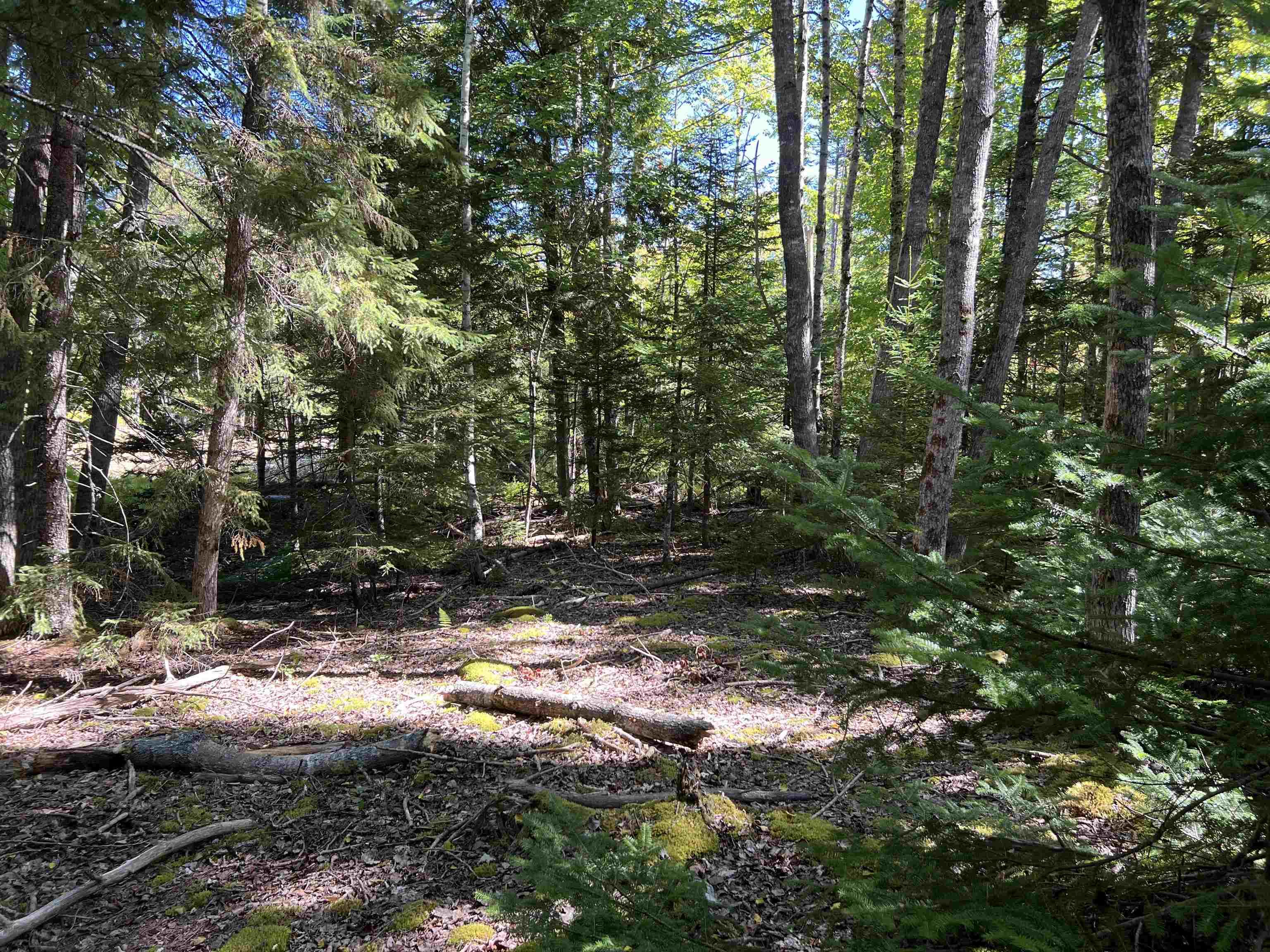 $39,000.00: Conquerall Rd, Conquerall Bank