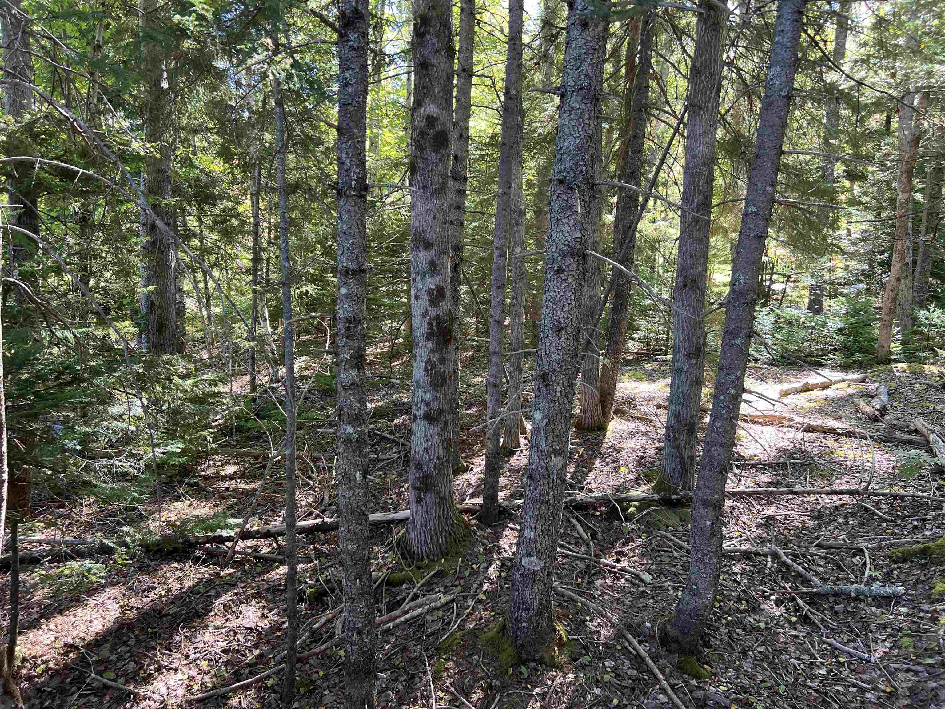 $39,000.00: Conquerall Rd, Conquerall Bank