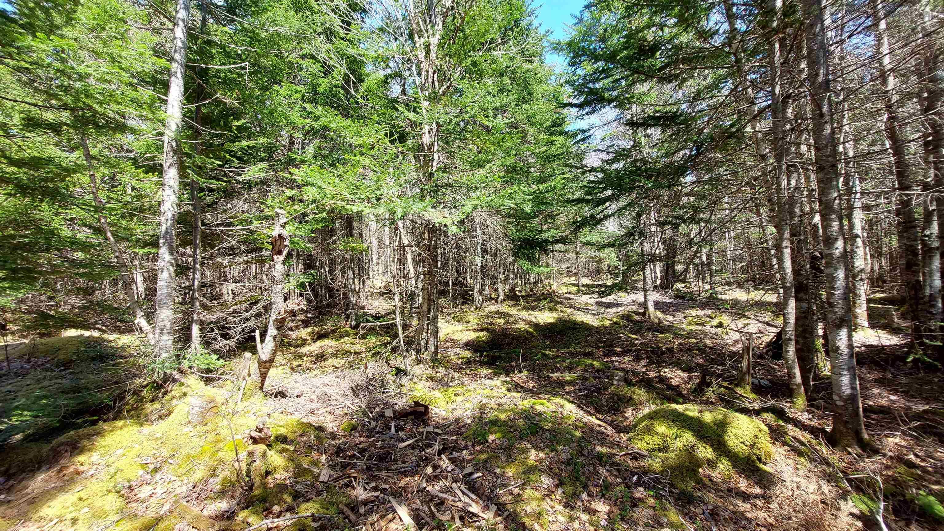 $75,000.00: Lot 28 Helmuts Lane, Cleveland