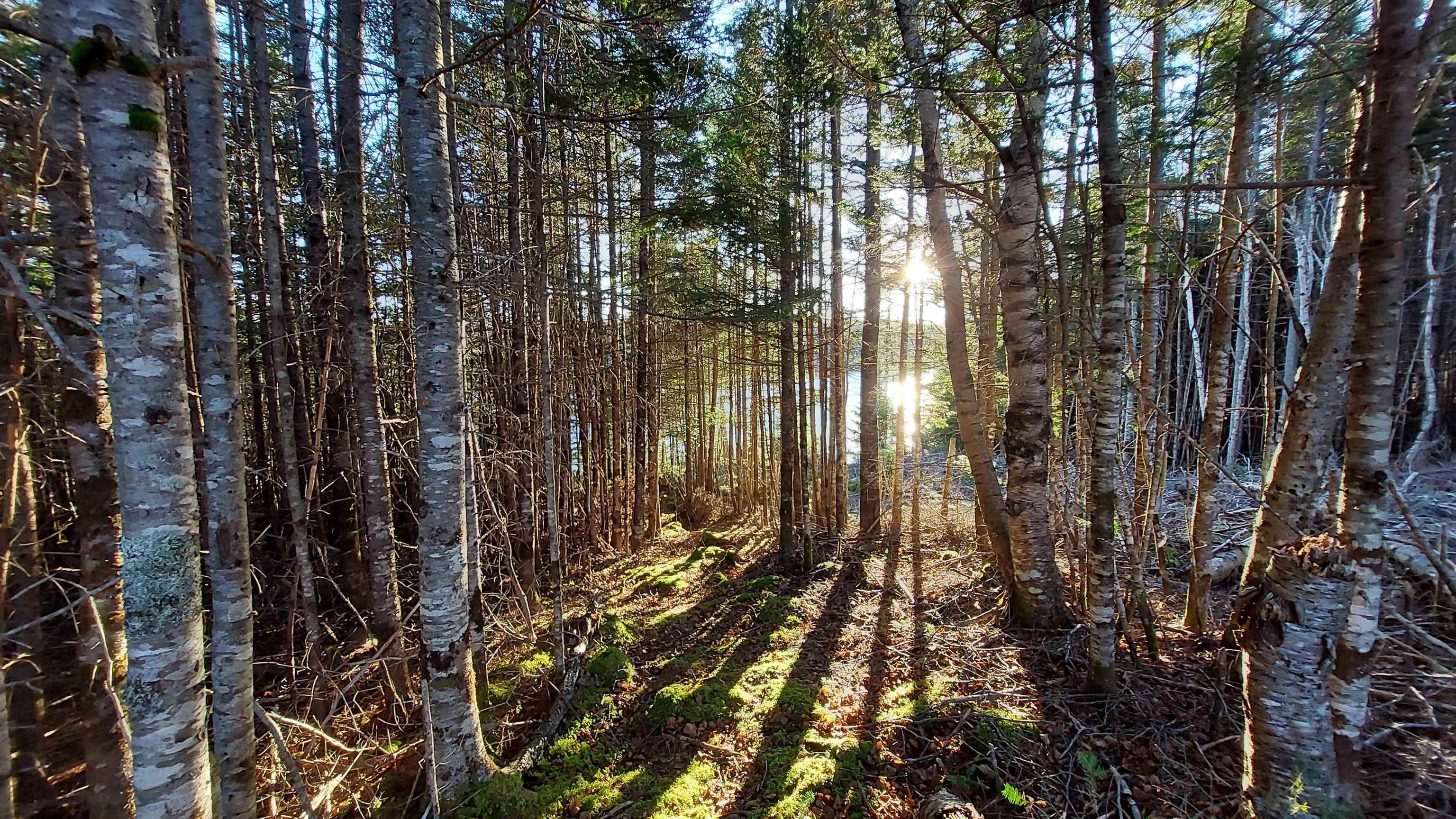 $75,000.00: Lot 28 Helmuts Lane, Cleveland