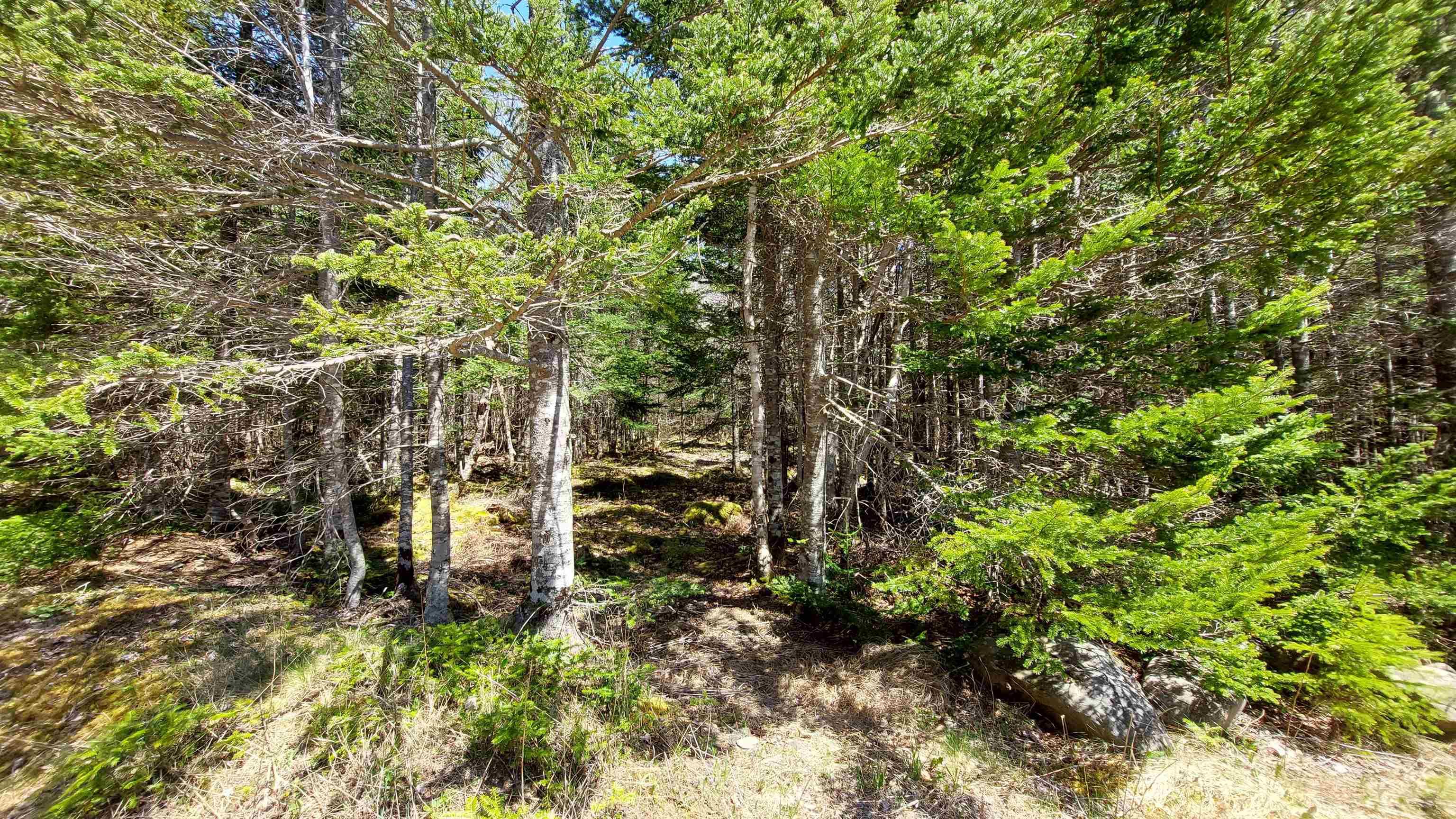 $75,000.00: Lot 28 Helmuts Lane, Cleveland