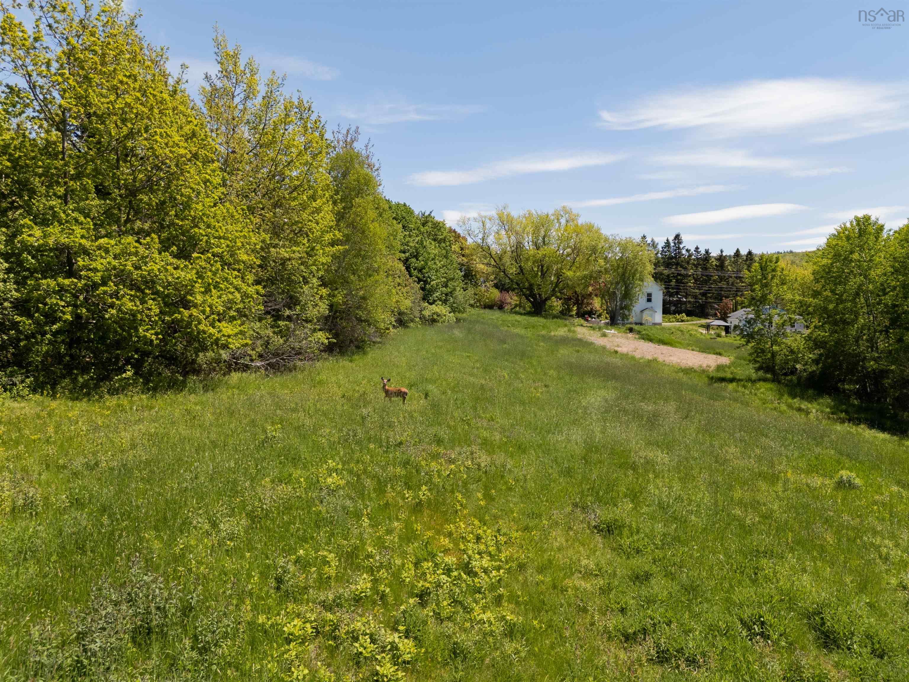 $59,000.00: Lot Highway 201, Moschelle