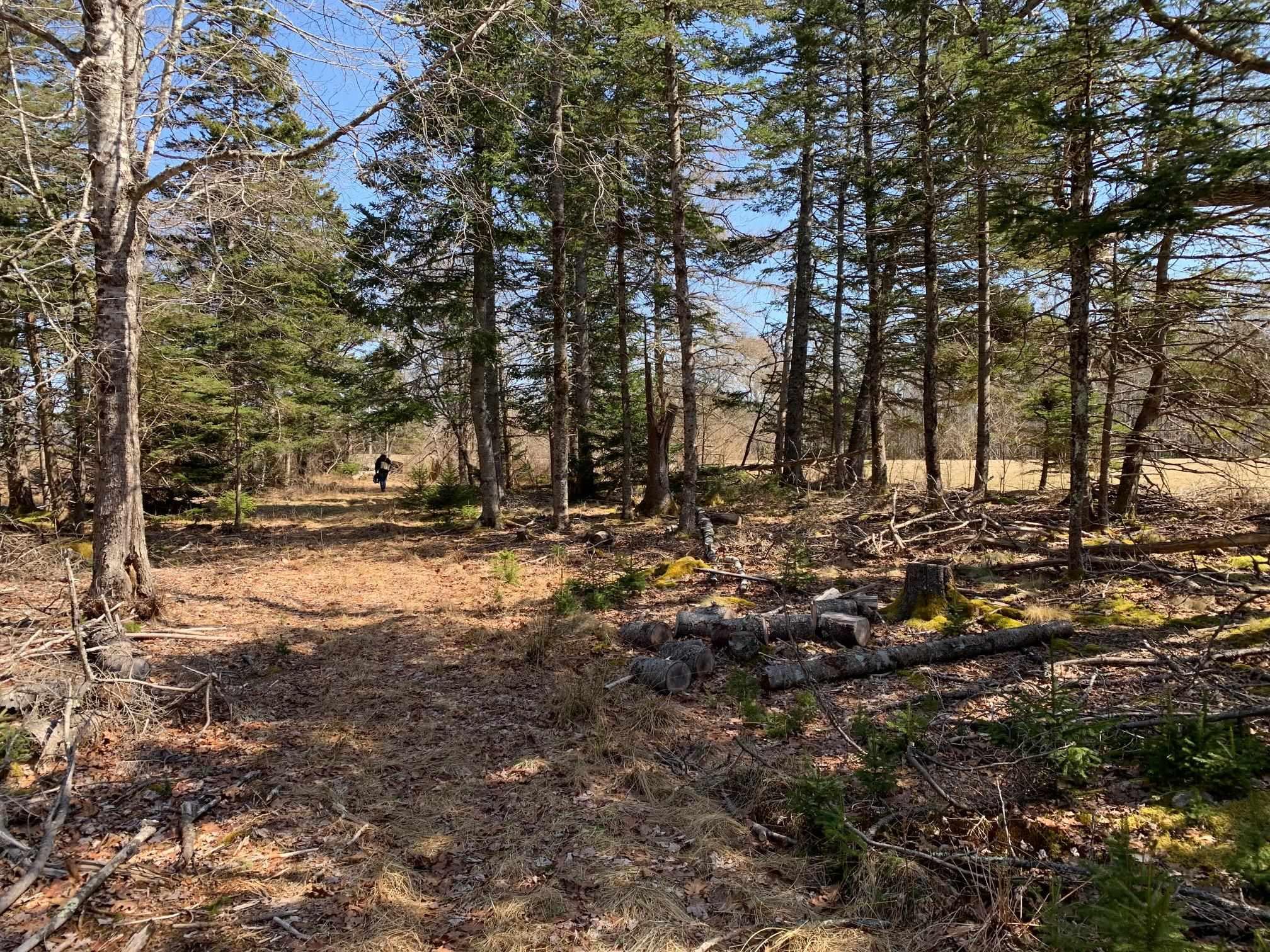 $1,074,500.00: 236 Princes Inlet Drive, Martins Brook