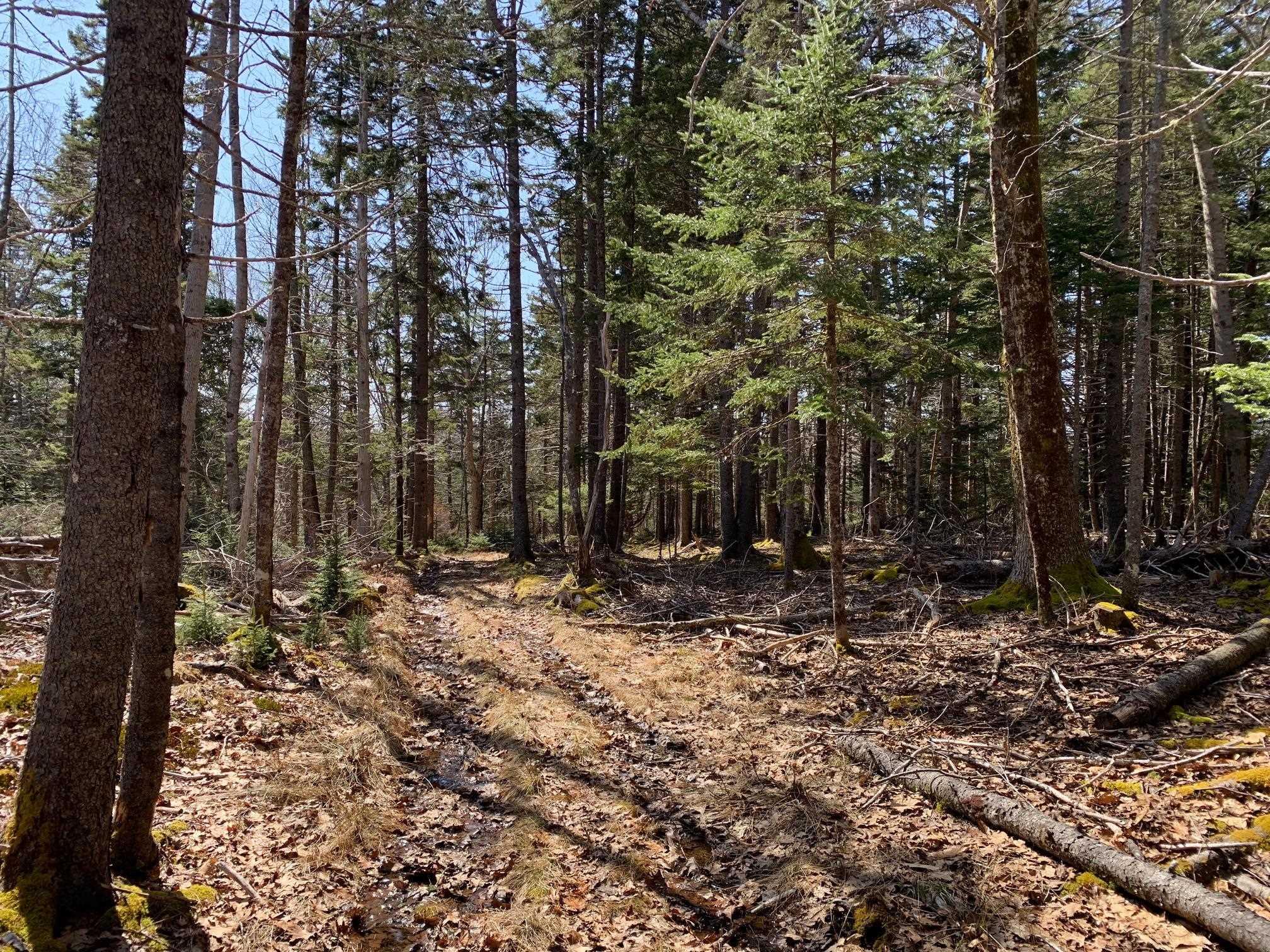 $1,074,500.00: 236 Princes Inlet Drive, Martins Brook