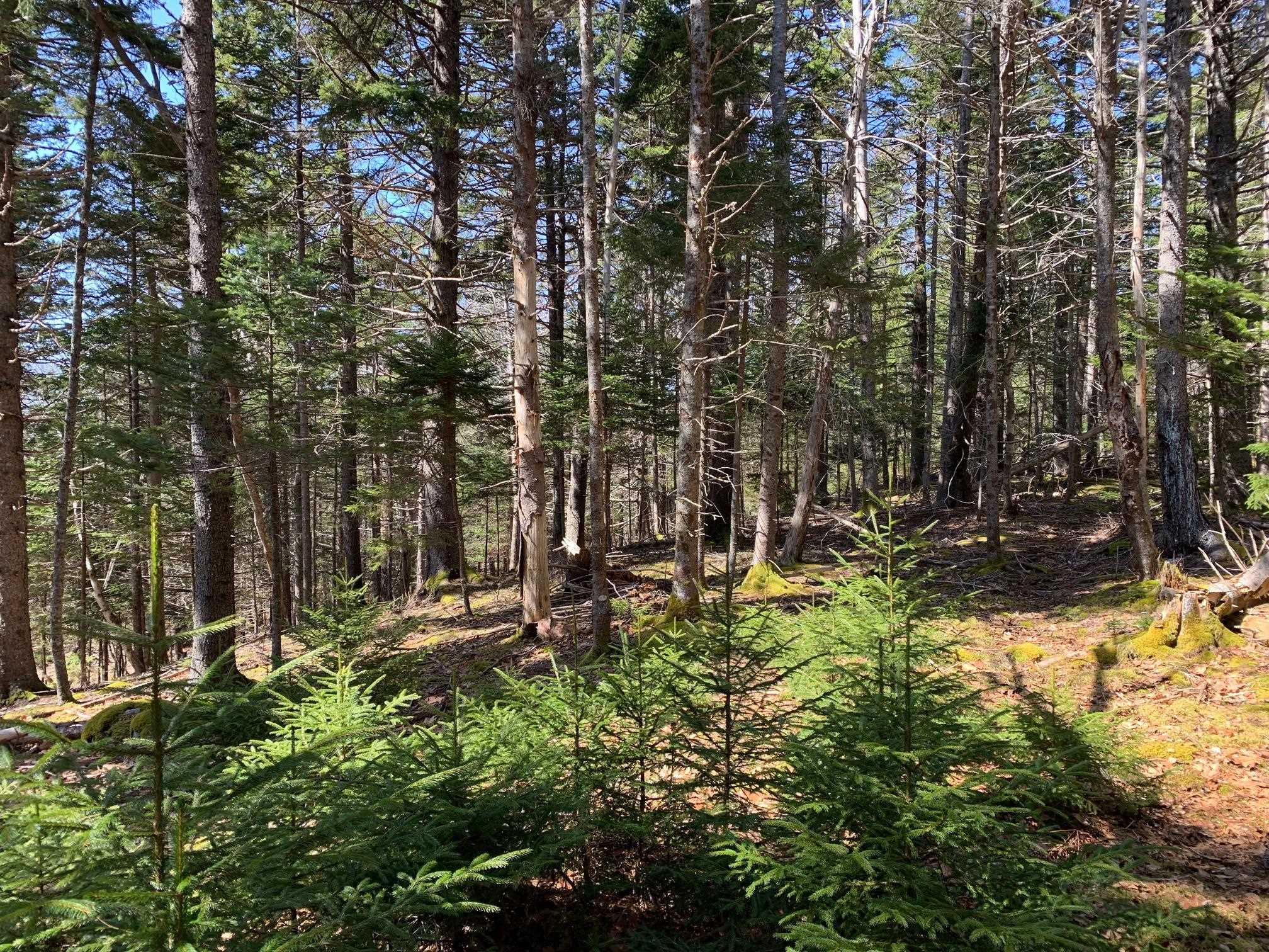 $1,074,500.00: 236 Princes Inlet Drive, Martins Brook