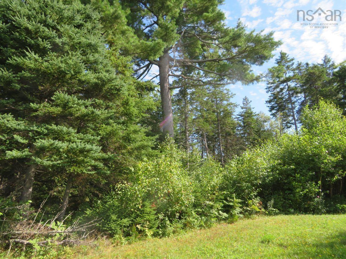 $110,000.00: Lot 2005-2 Island Road Extension, Malagash