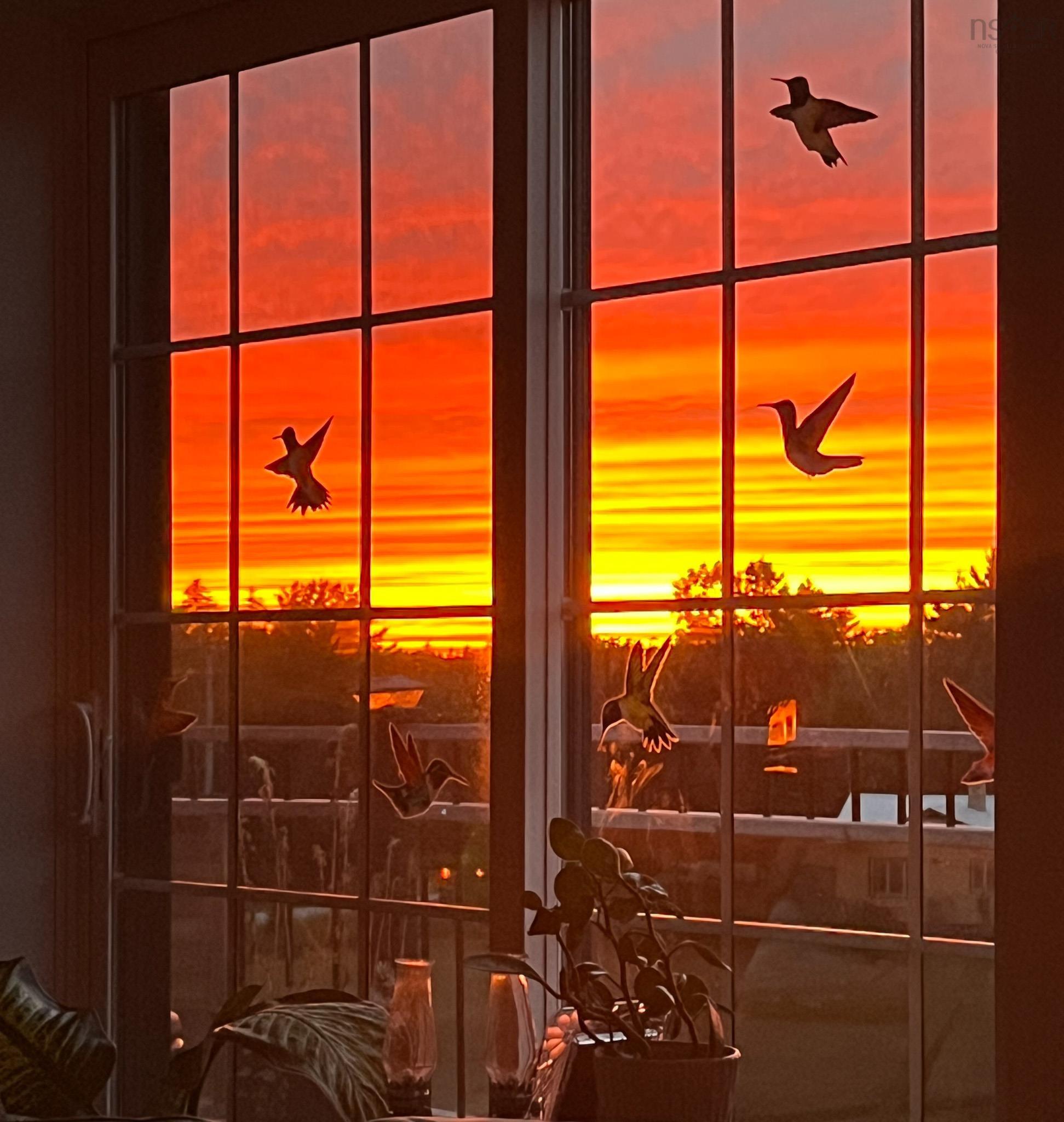 $769,000.00: 1718 Upper Branch Road, Midville Branch