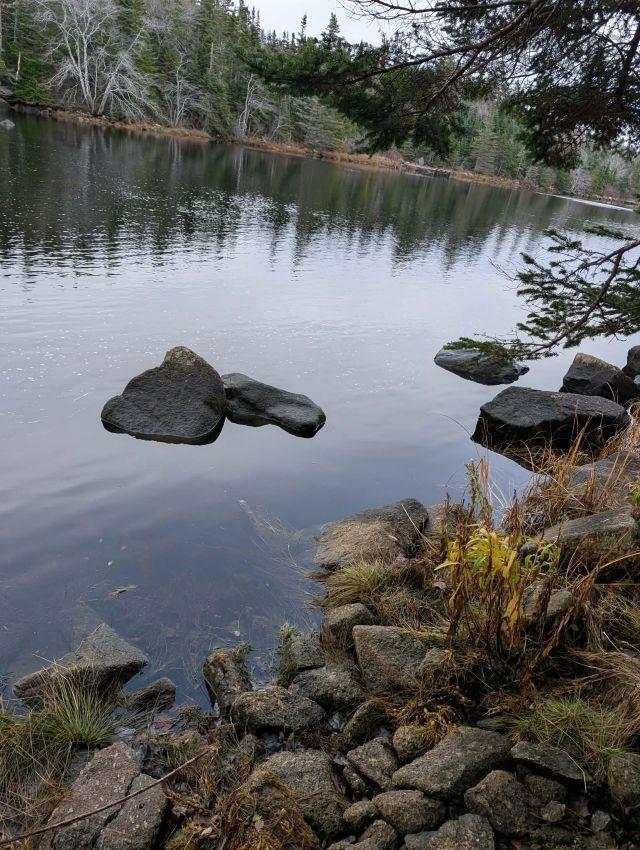 Lot 7 723 Terence Bay Road, Terence Bay, NS (MLS 202603610)