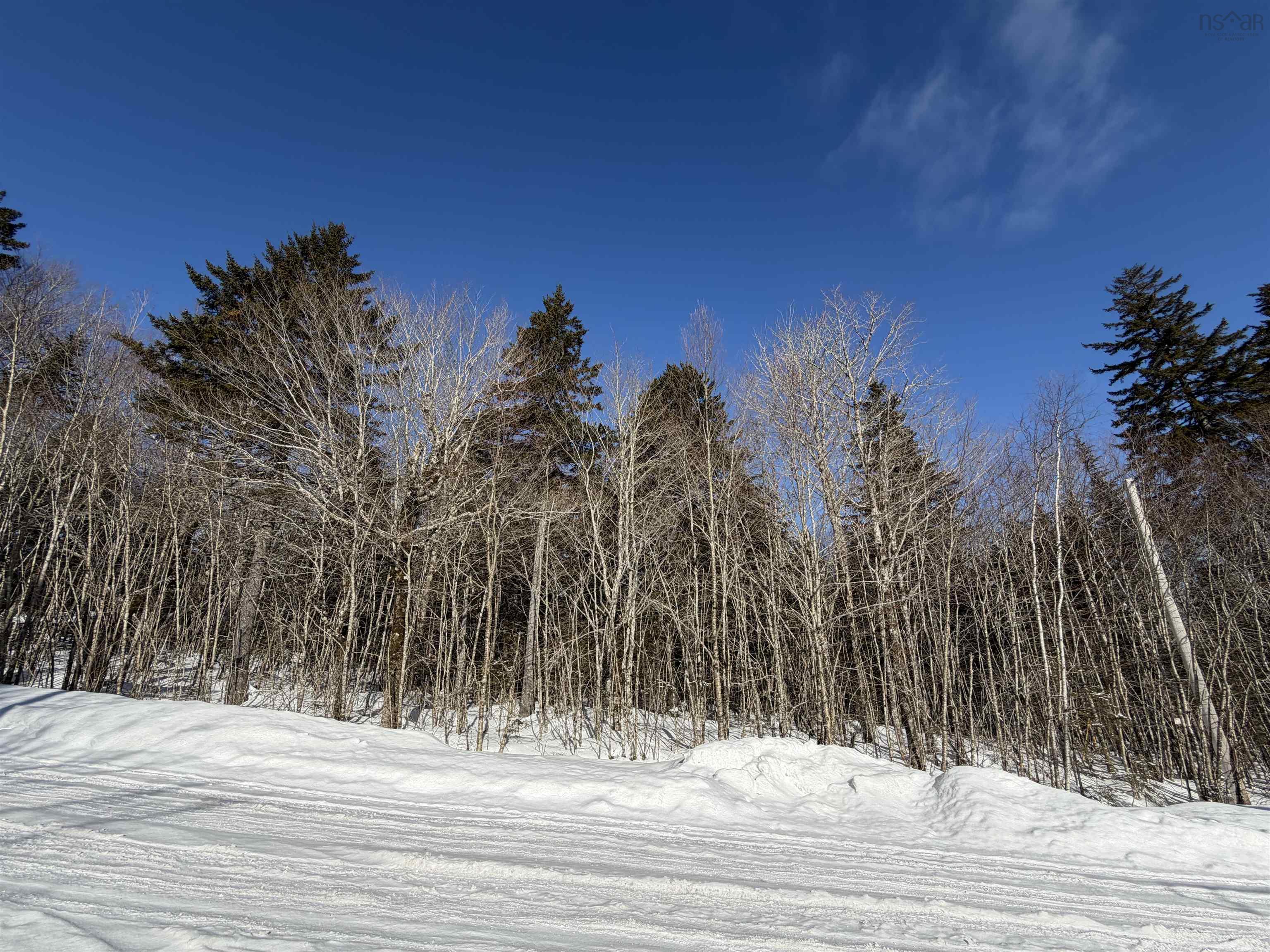 $38,900.00: 92 Forest Heights Road, Vaughan