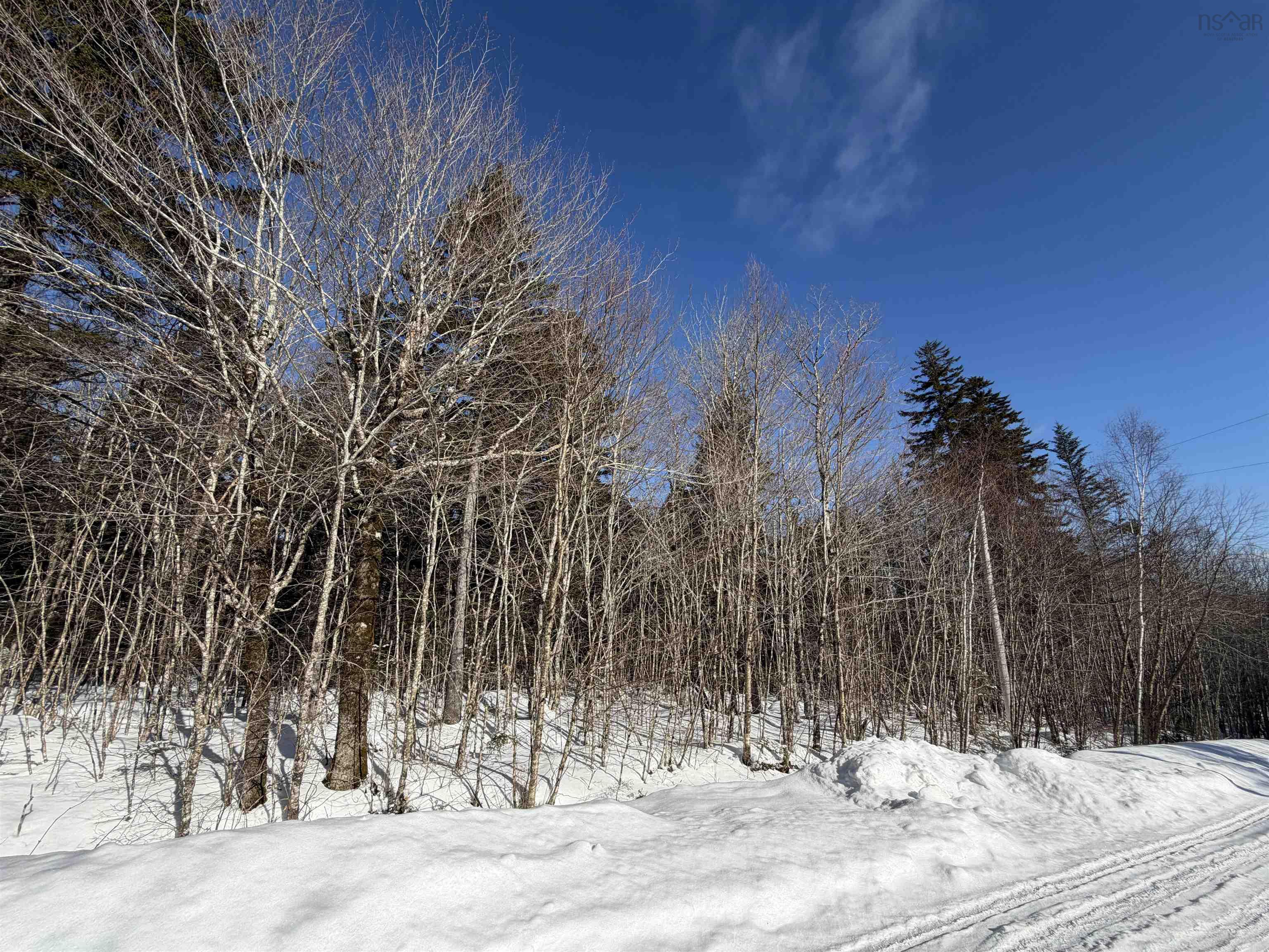 $38,900.00: 92 Forest Heights Road, Vaughan