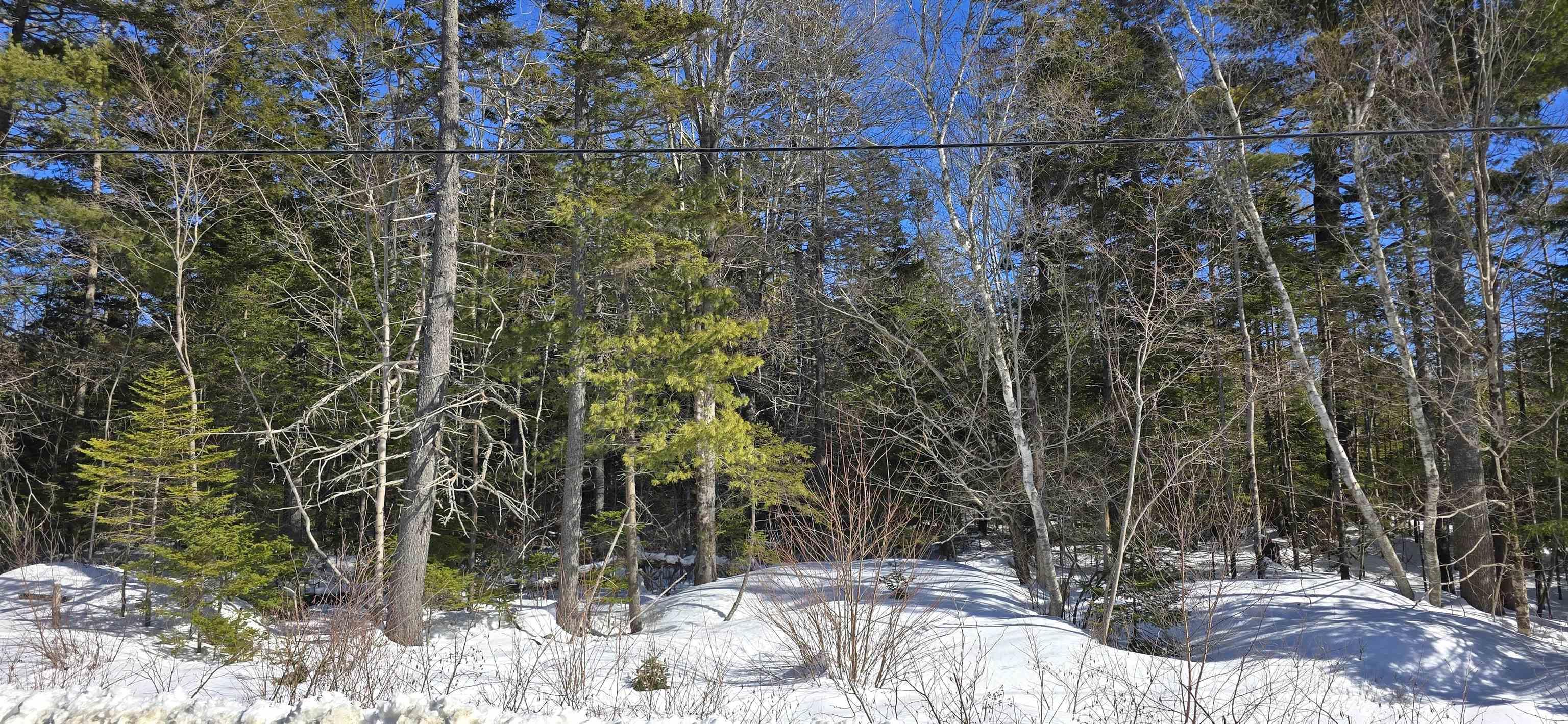 $49,000.00: Lot 3 Station Road, Maitland