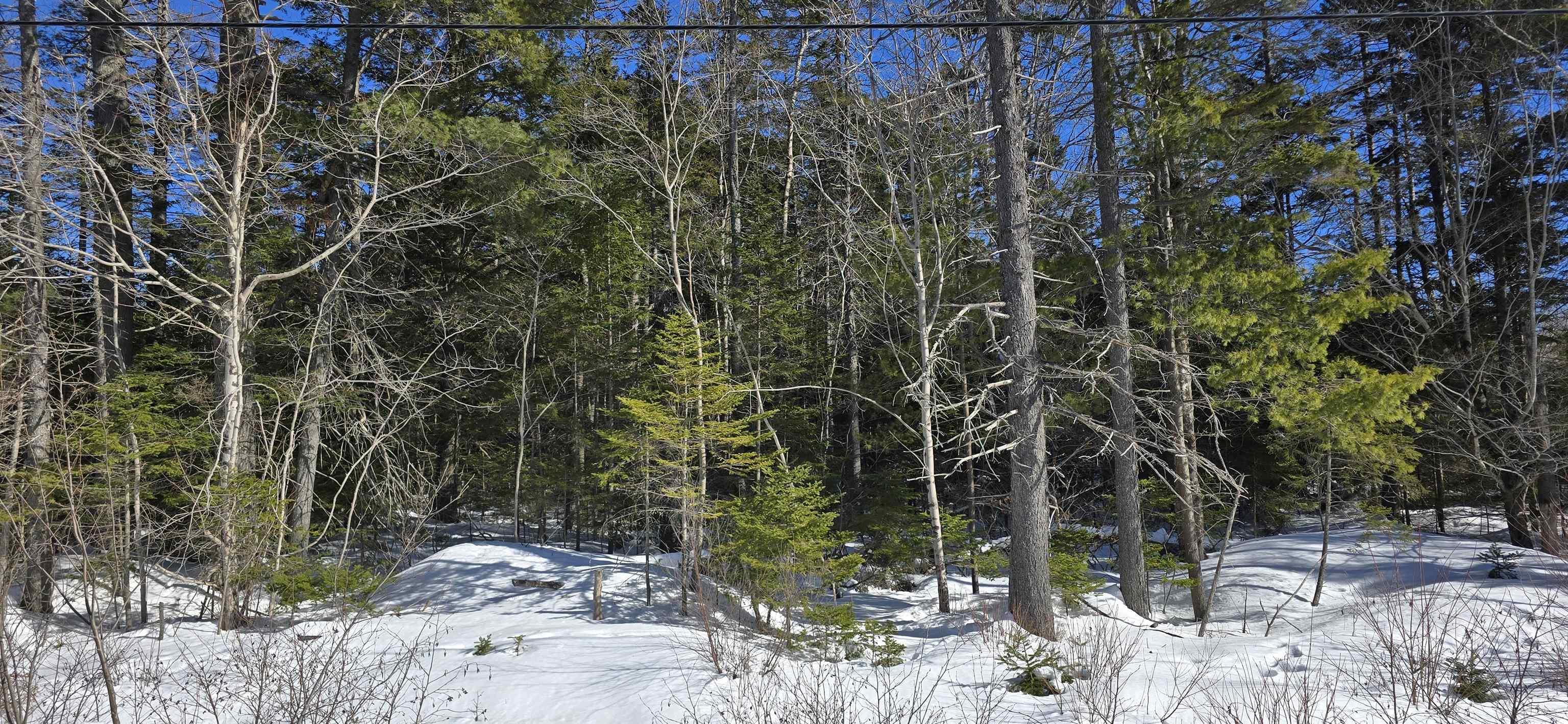 $49,000.00: Lot 3 Station Road, Maitland