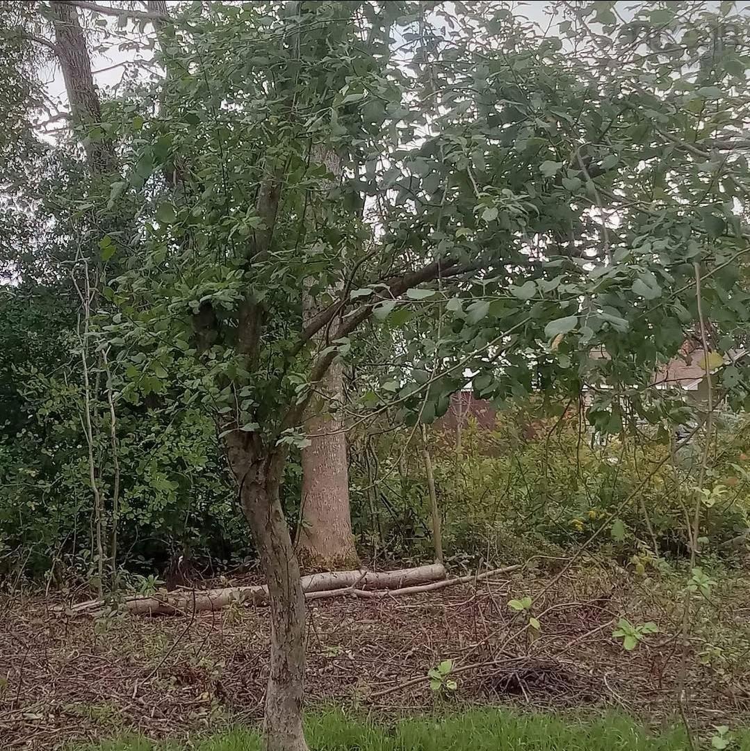 $75,000.00: 5734 Pictou Landing Road, Pictou Landing