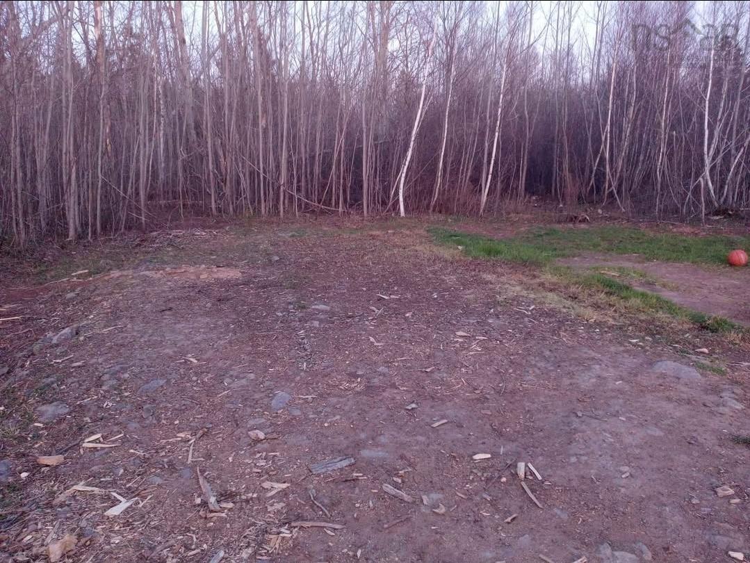 $75,000.00: 5734 Pictou Landing Road, Pictou Landing