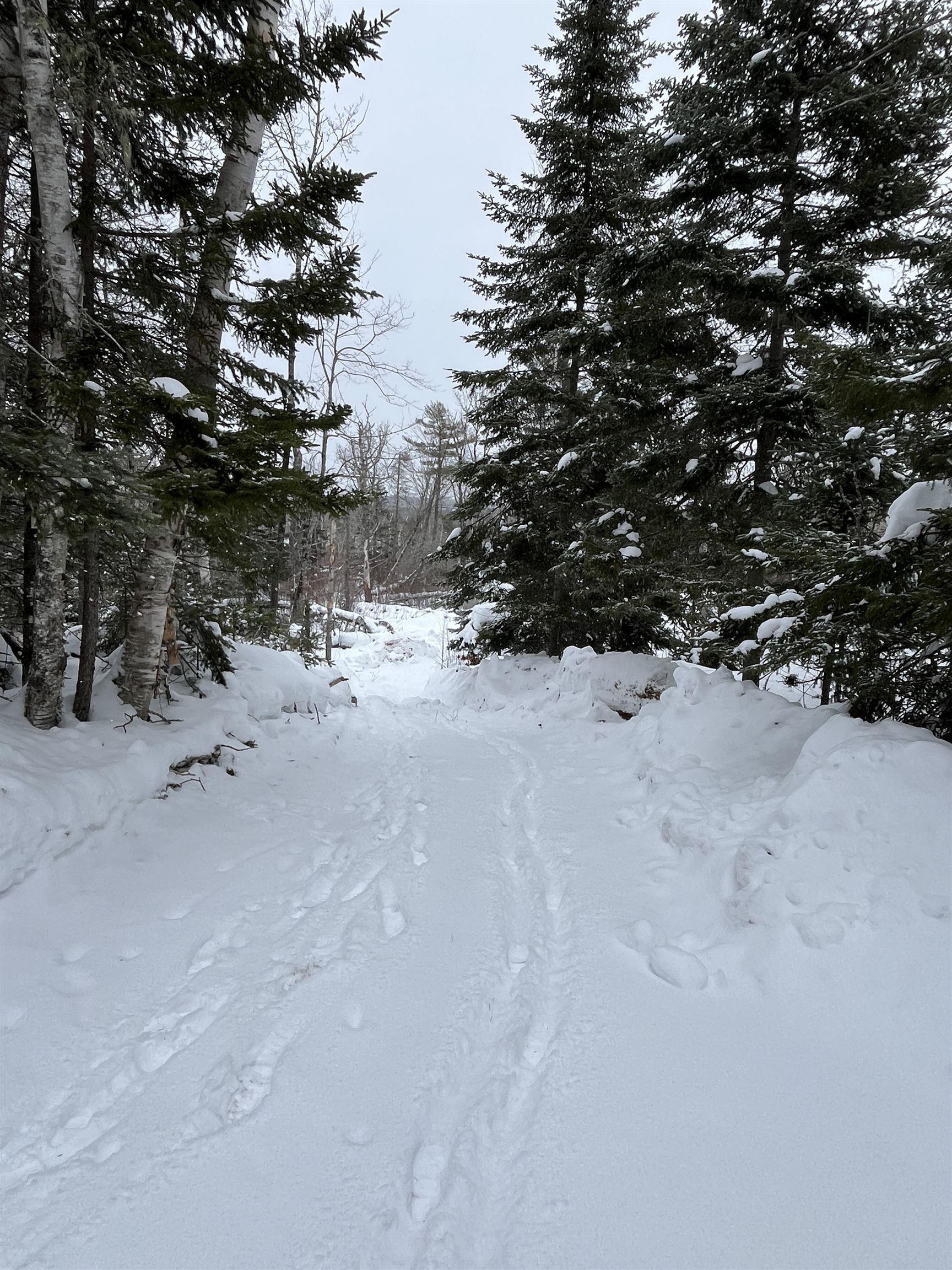 $69,000.00: 13-1 Balmoral Road, Balmoral Mills