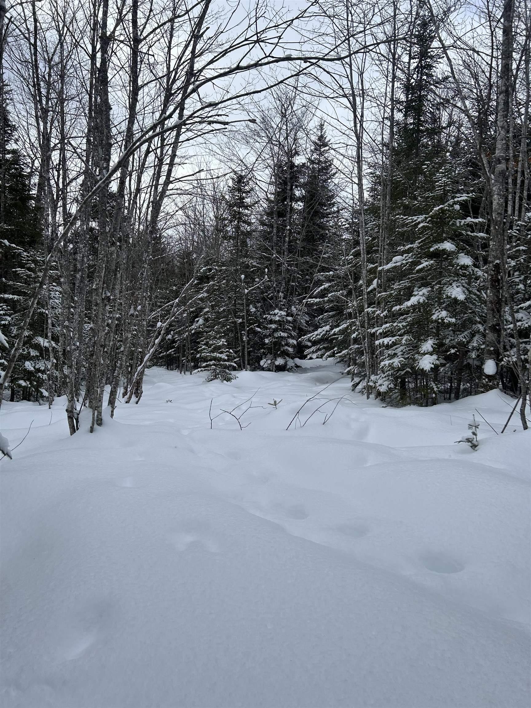 $49,900.00: 1 Highway 289 Highway, Middle Stewiacke