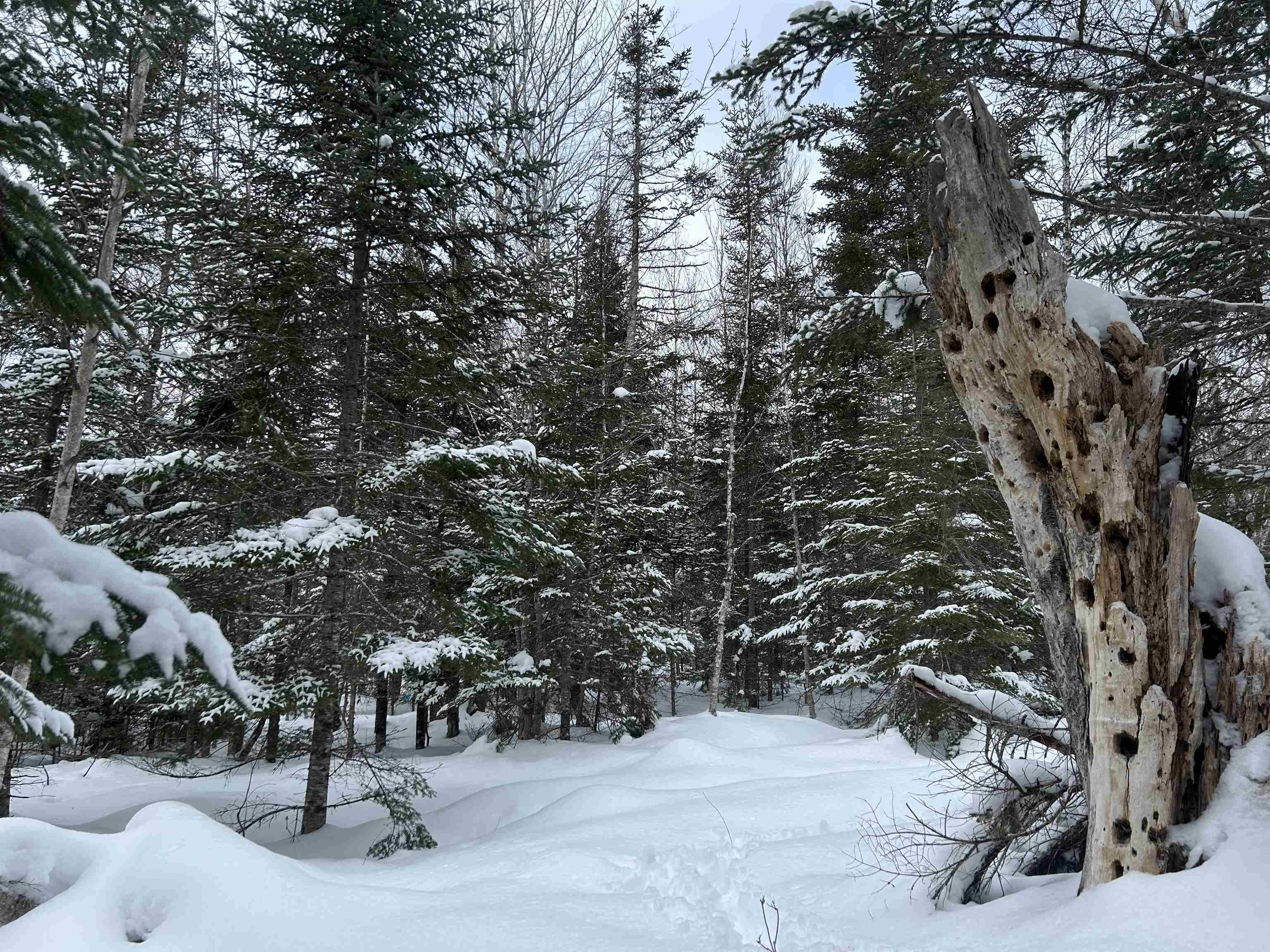 $49,900.00: 1 Highway 289 Highway, Middle Stewiacke