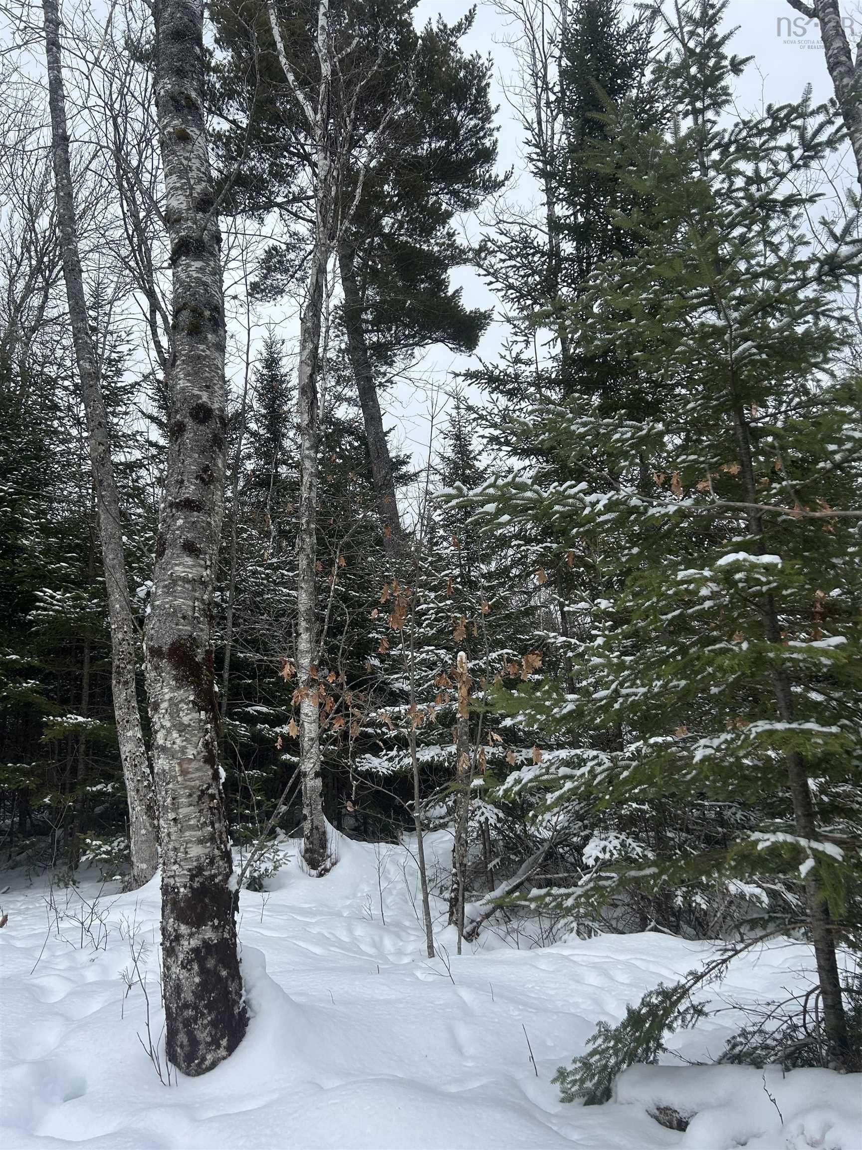 $49,900.00: 2 Highway 289 Highway, Middle Stewiacke