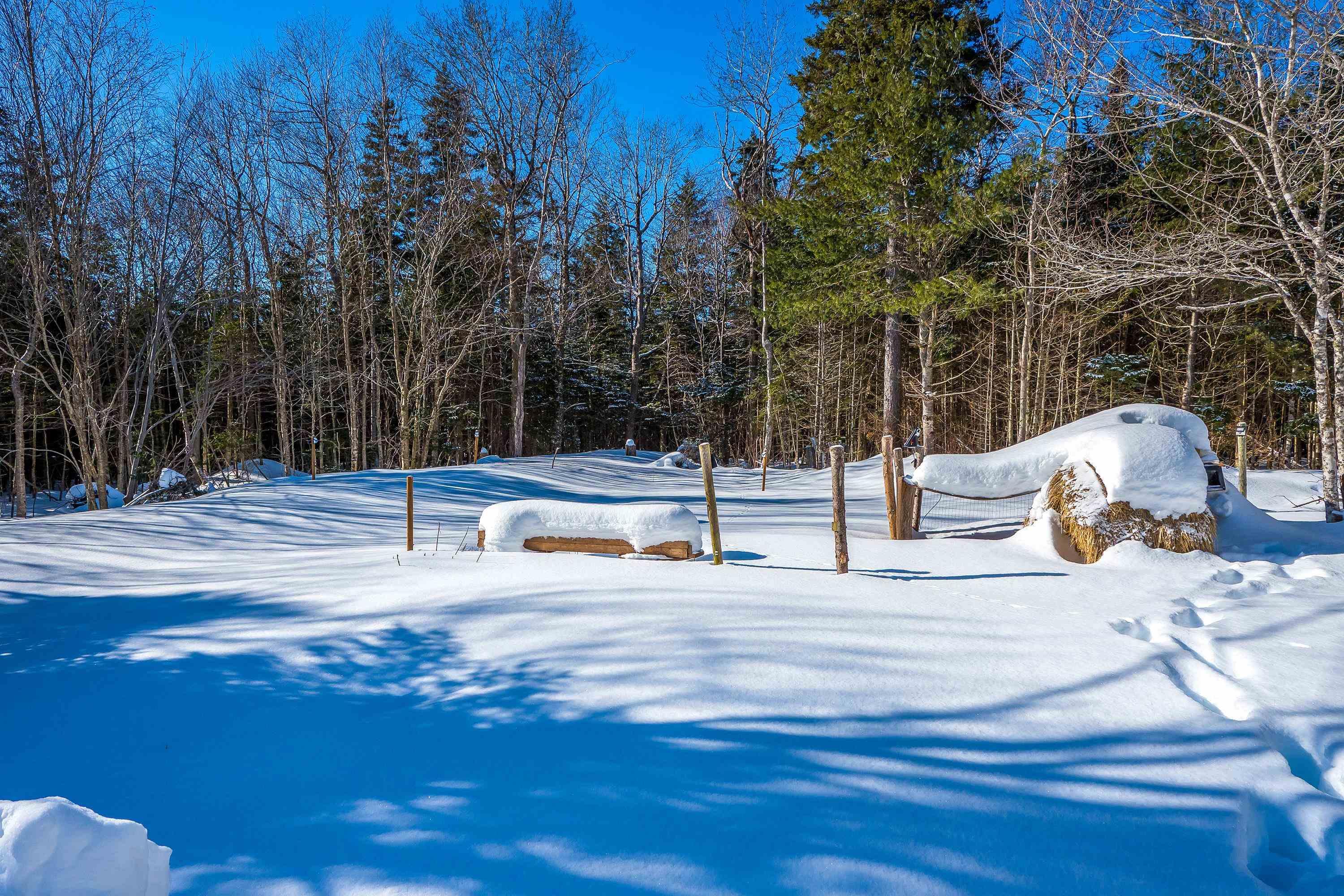 3367 Old Guysborough Road, Devon, NS (MLS 202603643)