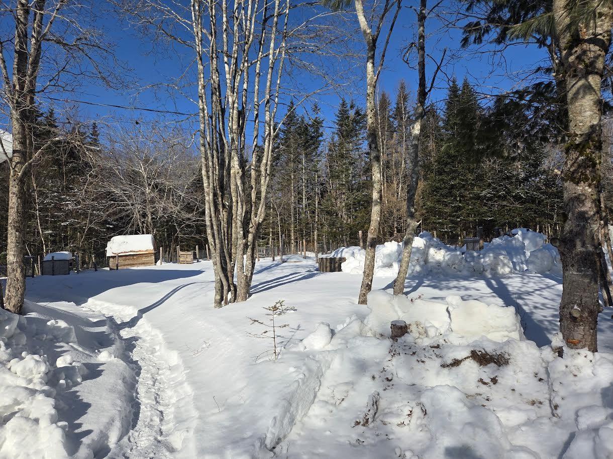 $439,900.00: 3367 Old Guysborough Road, Devon