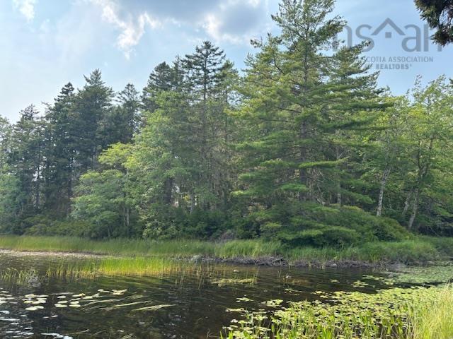 $129,000.00: Lot 25 Beaver Dam Trail, Labelle