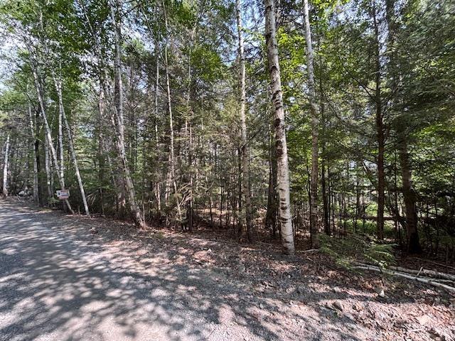 $129,000.00: Lot 25 Beaver Dam Trail, Labelle