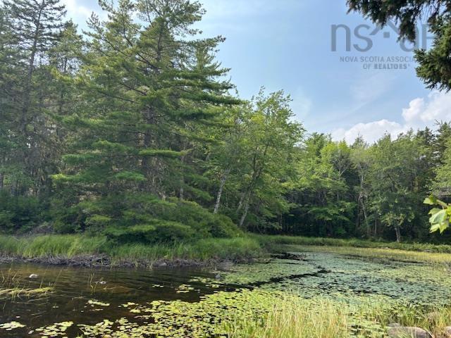 $129,000.00: Lot 25 Beaver Dam Trail, Labelle