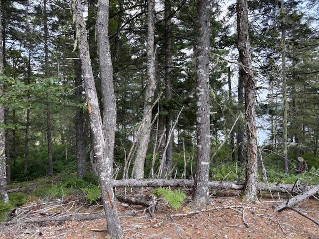 $129,000.00: Lot 25 Beaver Dam Trail, Labelle