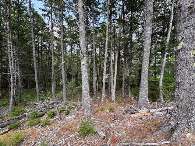 $129,000.00: Lot 25 Beaver Dam Trail, Labelle