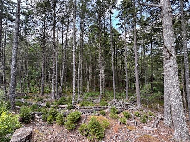$129,000.00: Lot 25 Beaver Dam Trail, Labelle