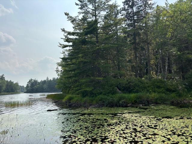 $129,000.00: Lot 25 Beaver Dam Trail, Labelle