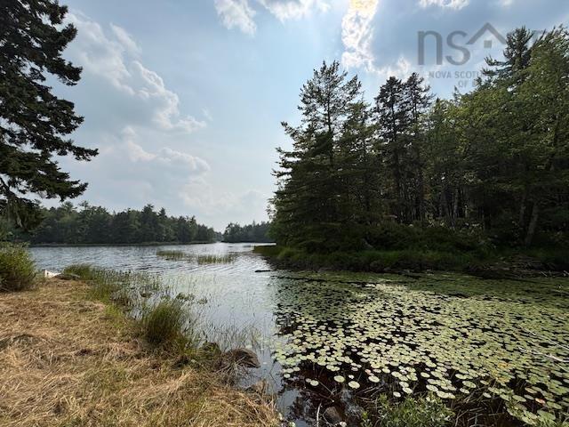 $129,000.00: Lot 25 Beaver Dam Trail, Labelle