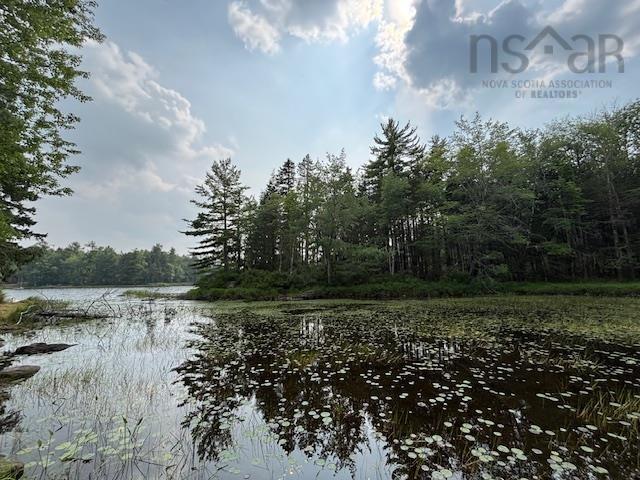 $129,000.00: Lot 25 Beaver Dam Trail, Labelle