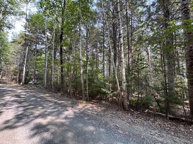 $129,000.00: Lot 25 Beaver Dam Trail, Labelle