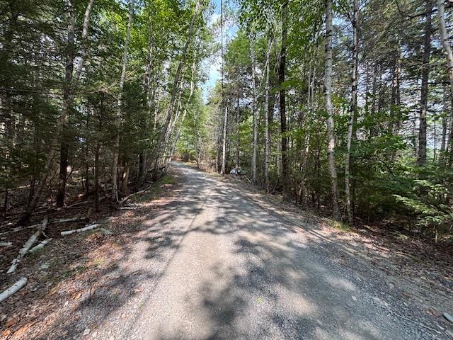 $129,000.00: Lot 25 Beaver Dam Trail, Labelle