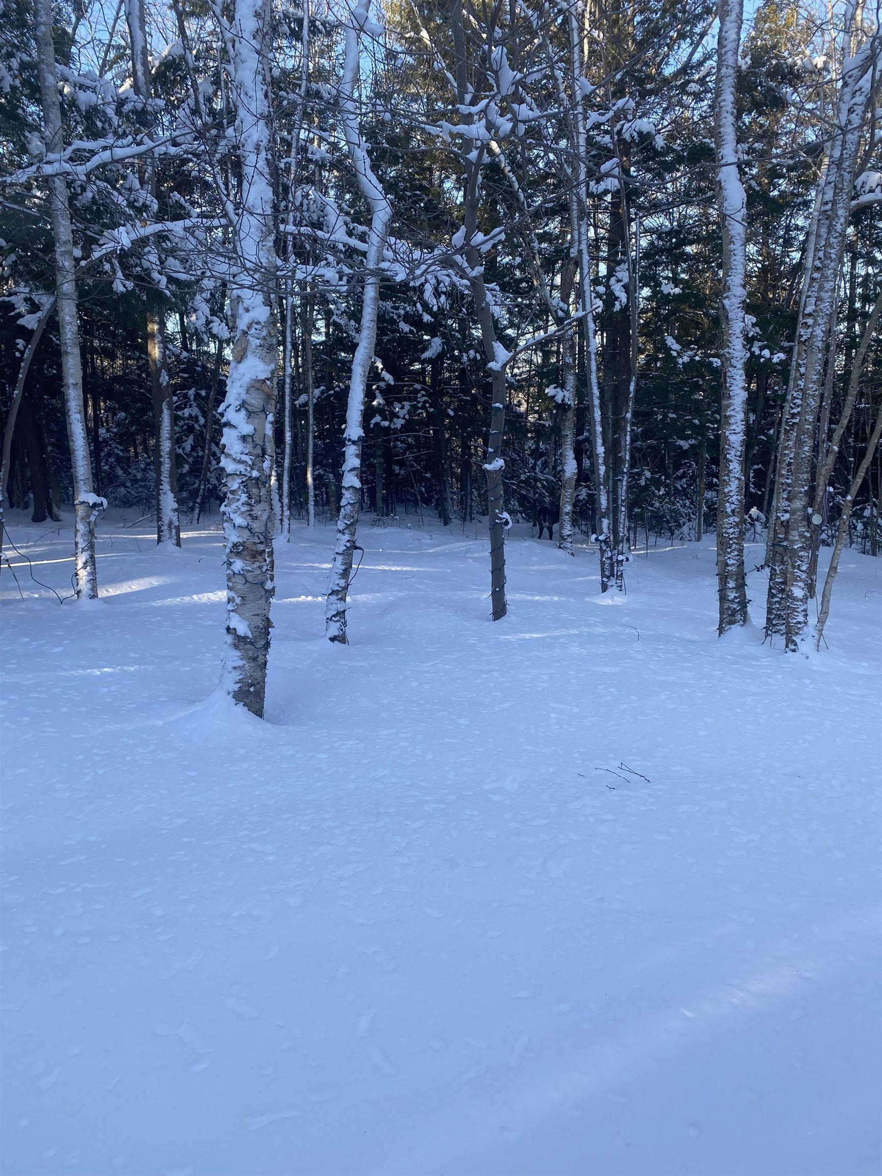 20 Perry Court, Fall River, NS (MLS 202603732)