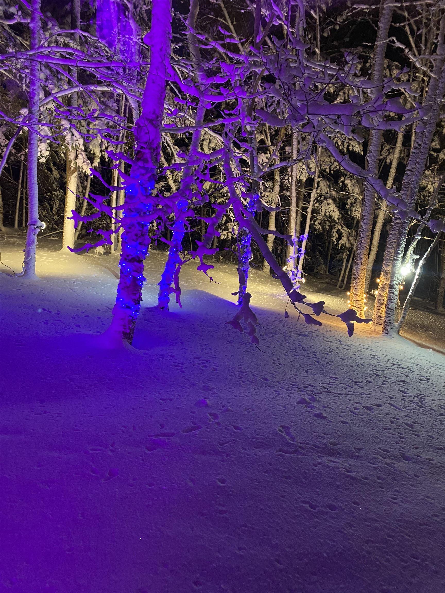 20 Perry Court, Fall River, NS (MLS 202603732)