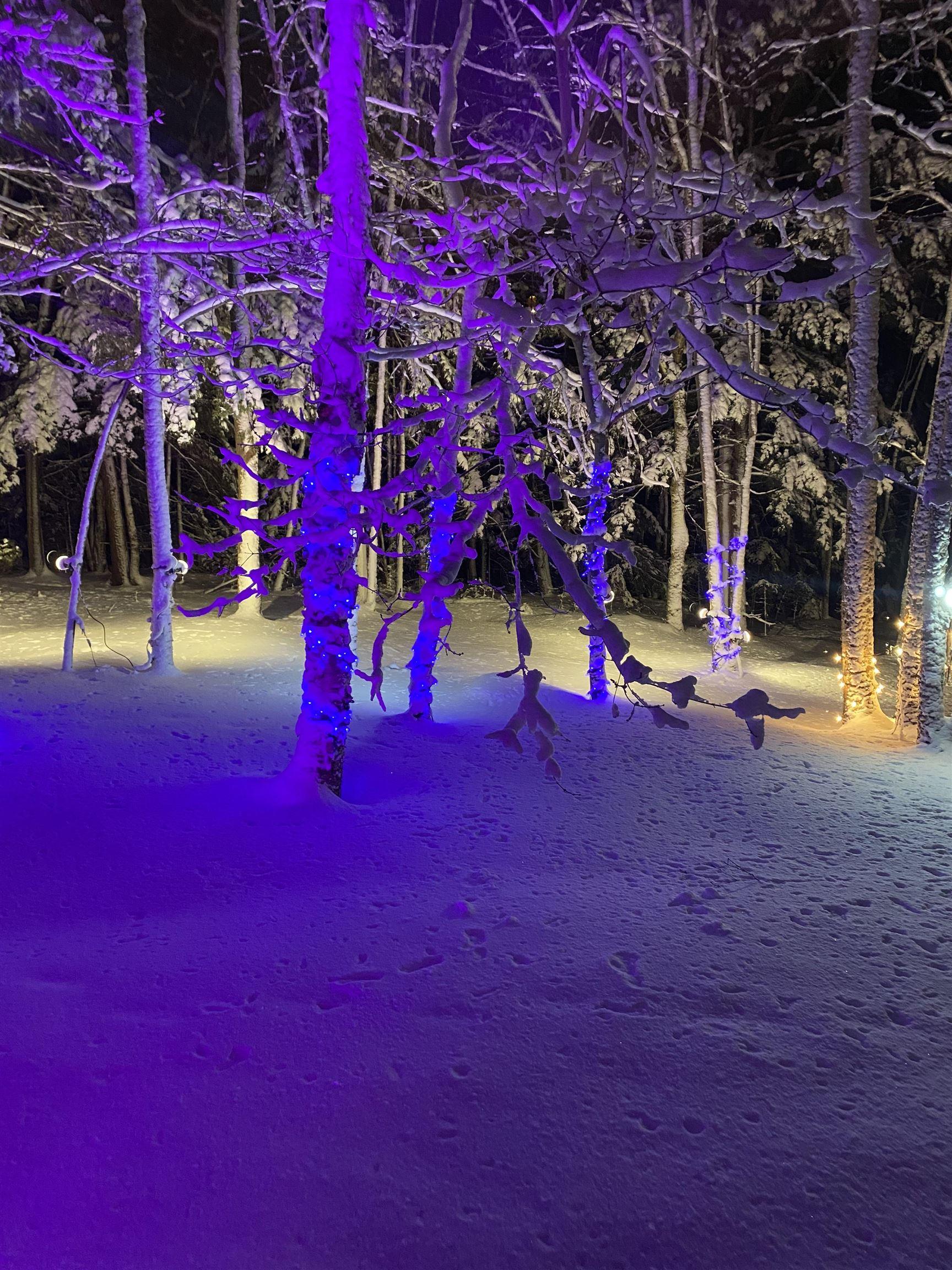 20 Perry Court, Fall River, NS (MLS 202603732)