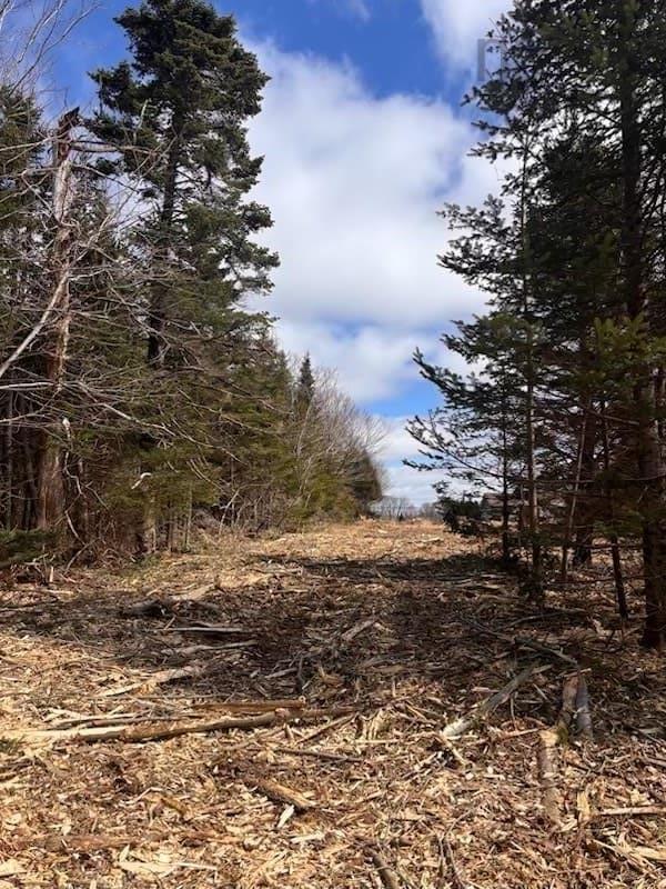 Lot Kl-3 Walker Street, Lake Echo, NS (MLS® 202603773)
