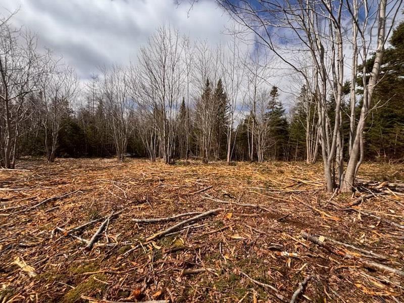 Lot Kl-2 Walker Street, Lake Echo, NS (MLS 202603774)