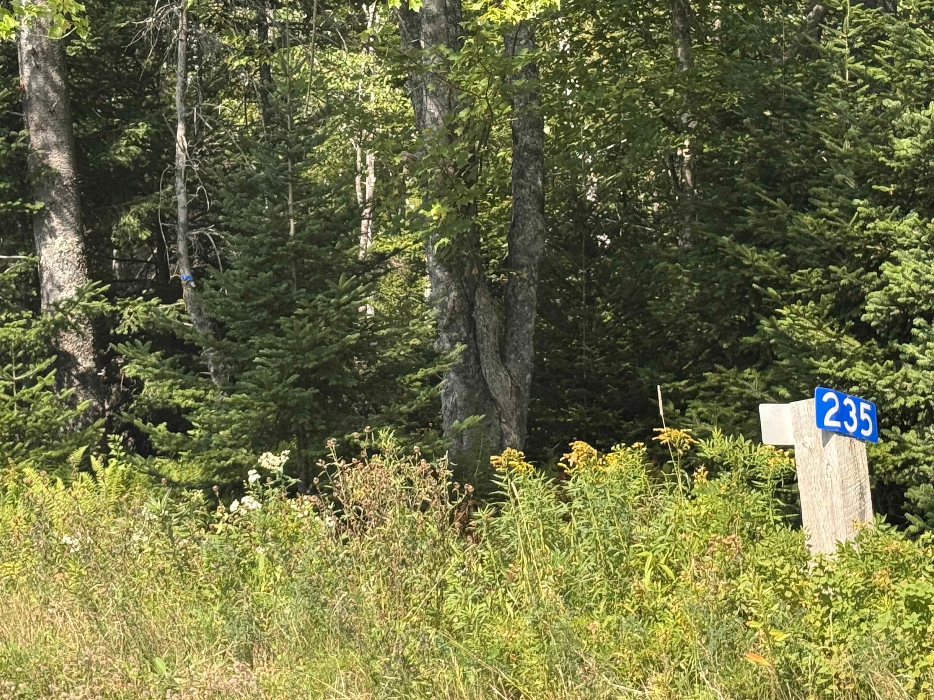 $19,900.00: Lot 6 Highway 224, Sheet Harbour