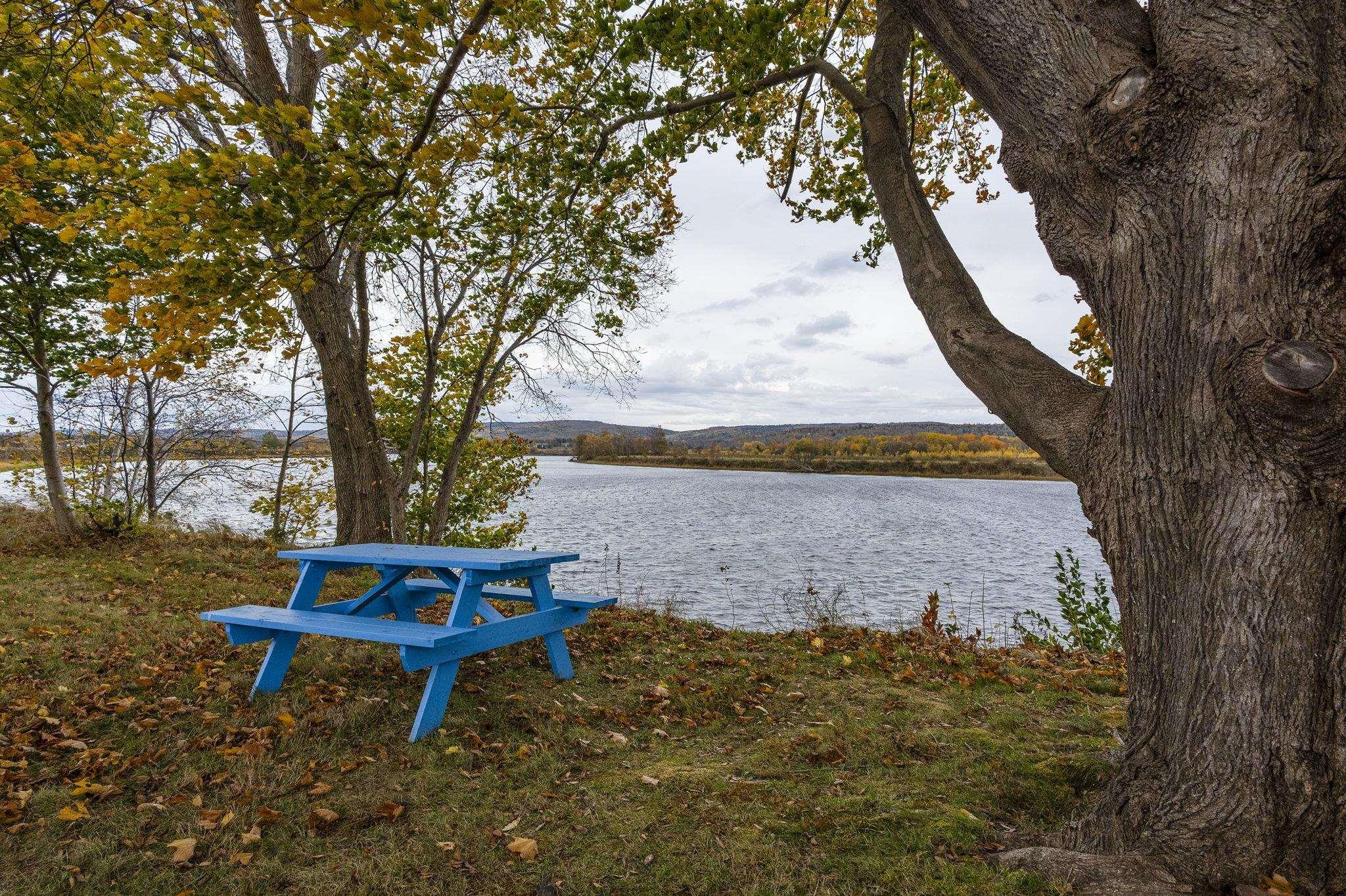 $439,000.00: 6 Hebbs Landing, Upper Granville