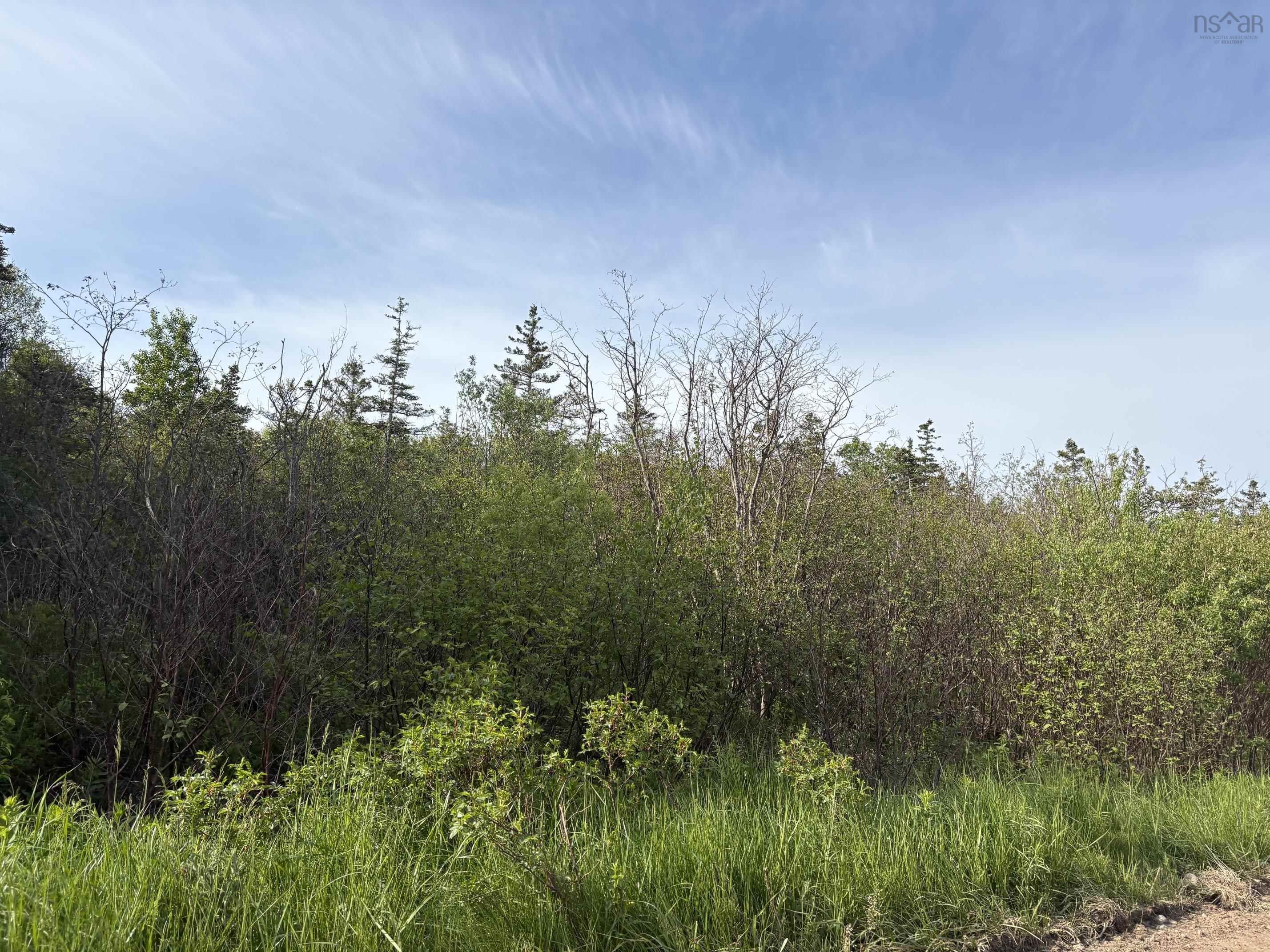 $99,900.00: Lot 2 Shore Road, Ogilvie