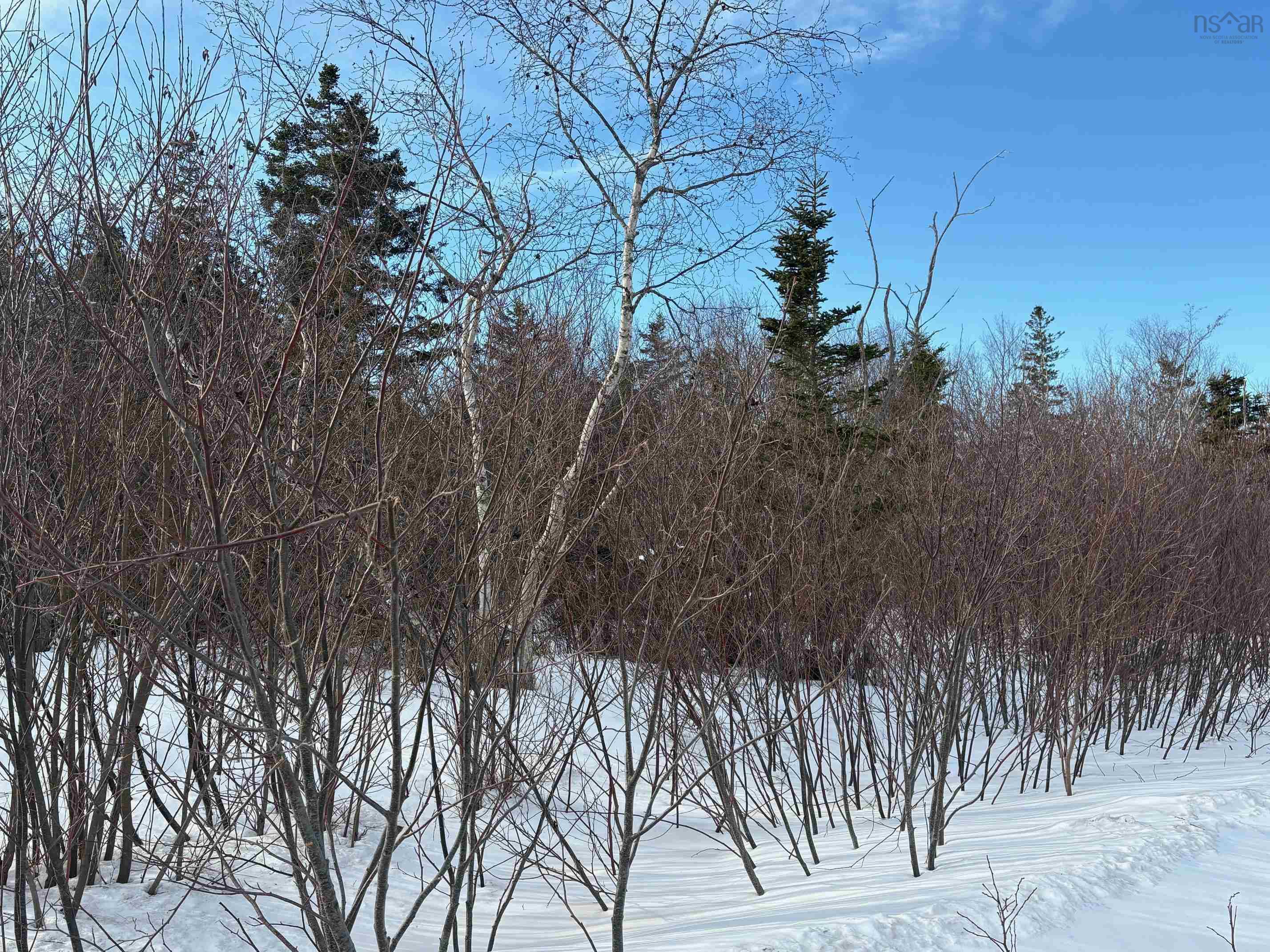 $99,900.00: Lot 2 Shore Road, Ogilvie